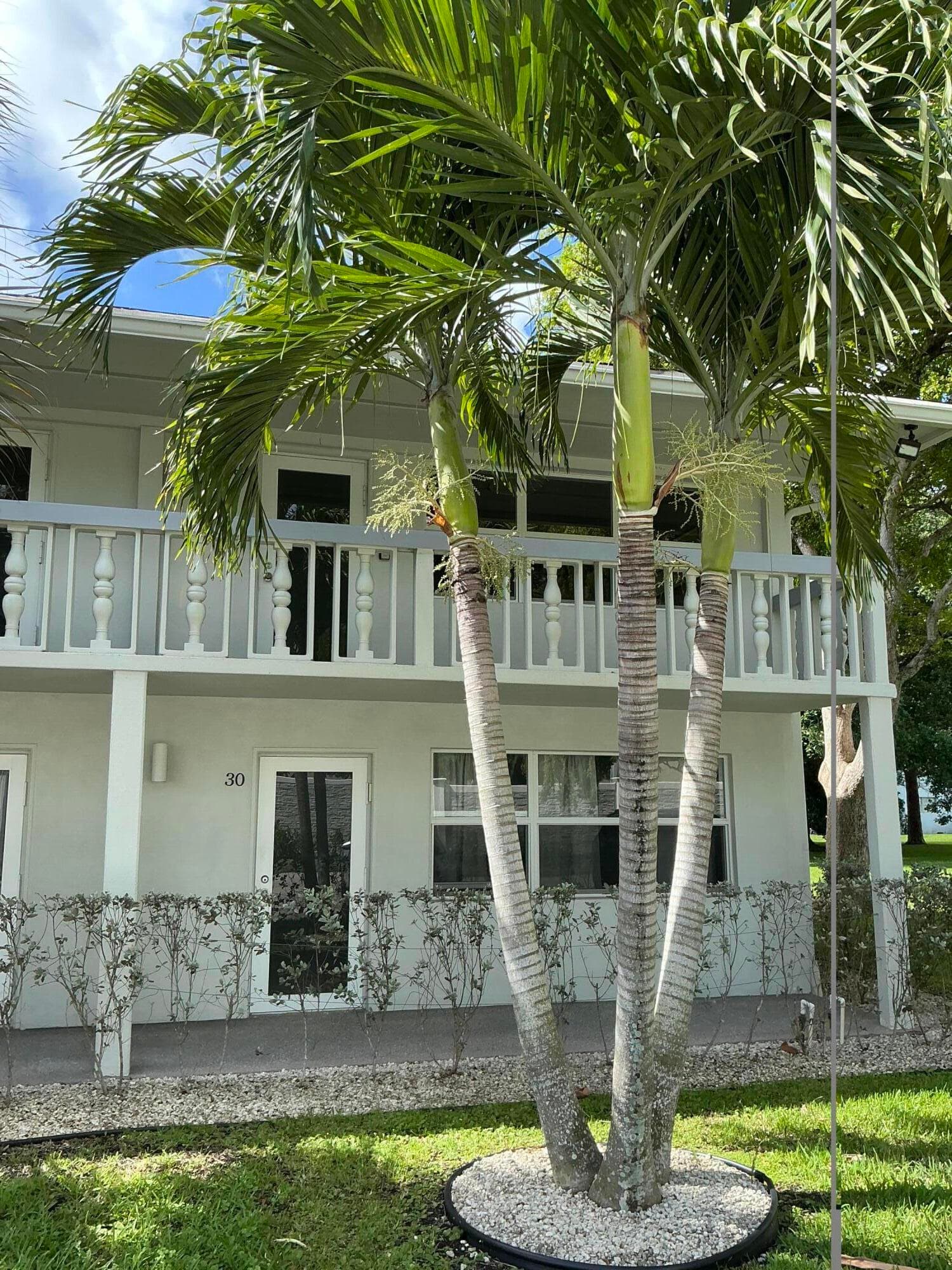 40 Ventnor Drive, Deerfield Beach, FL 33442 — photo 3 of 35