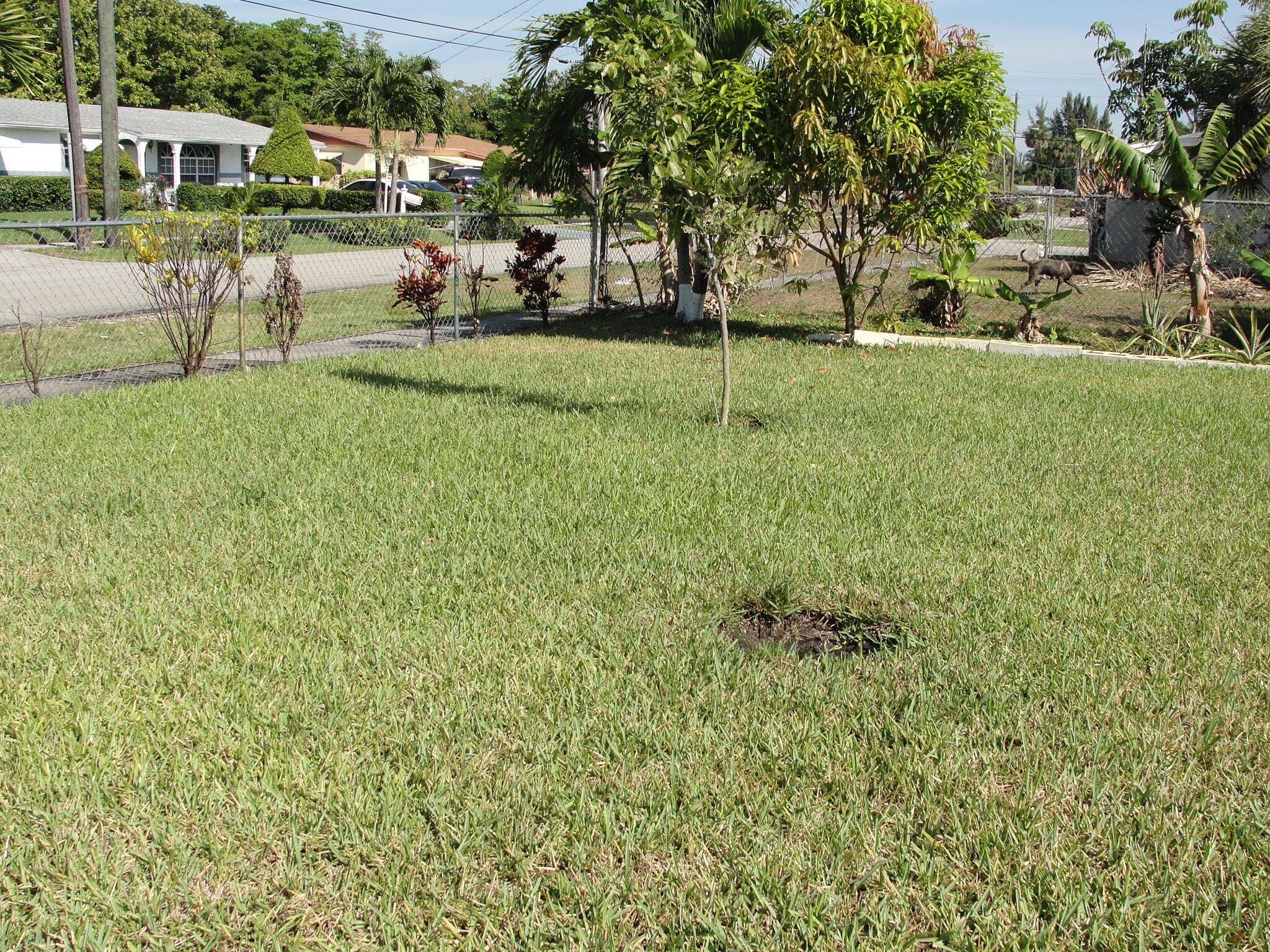8253 NW 118th Way NW, Parkland, FL 33076 — photo 23 of 25