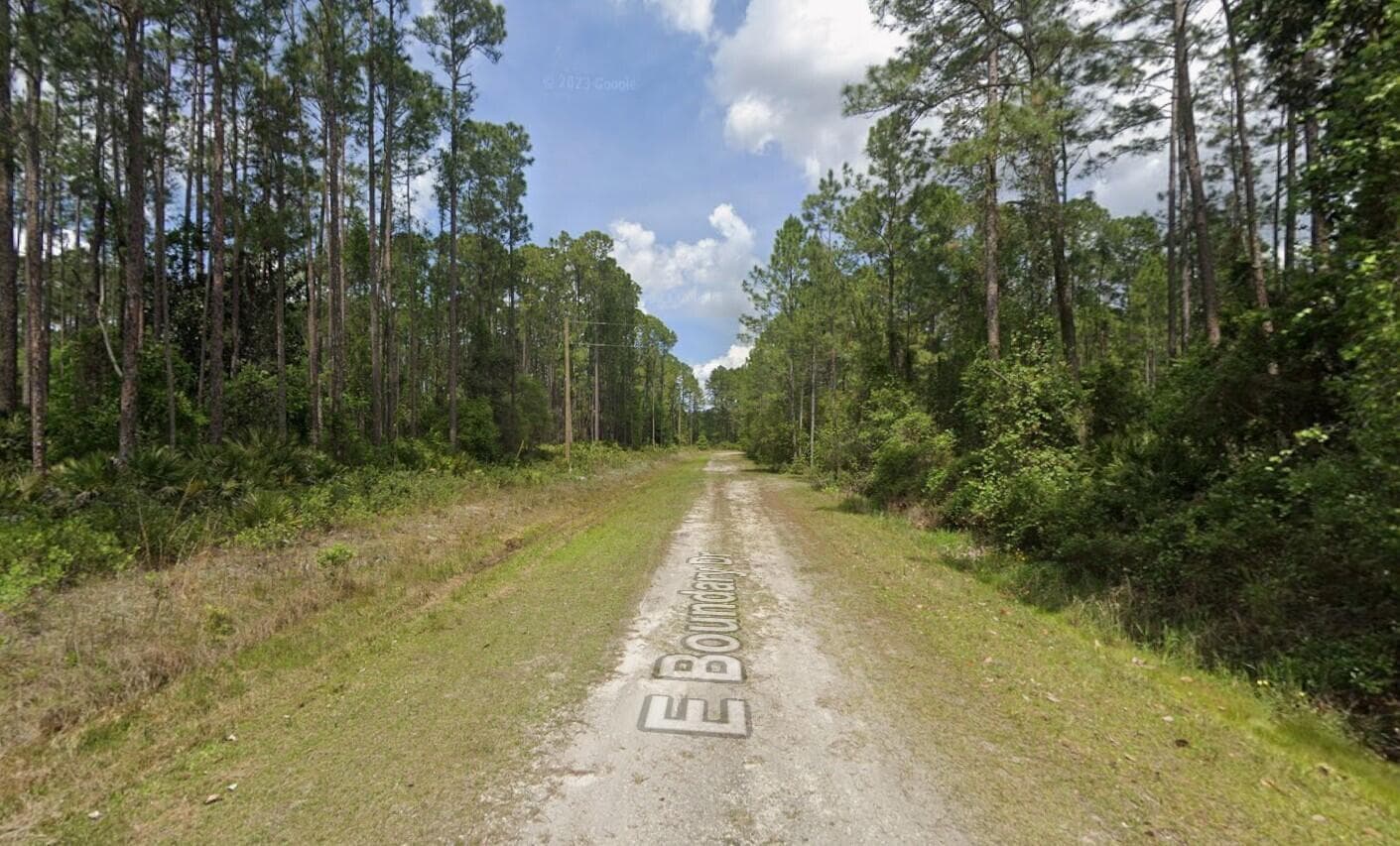 141 E Boundary Drive, Georgetown, FL 32139 — photo 2 of 3