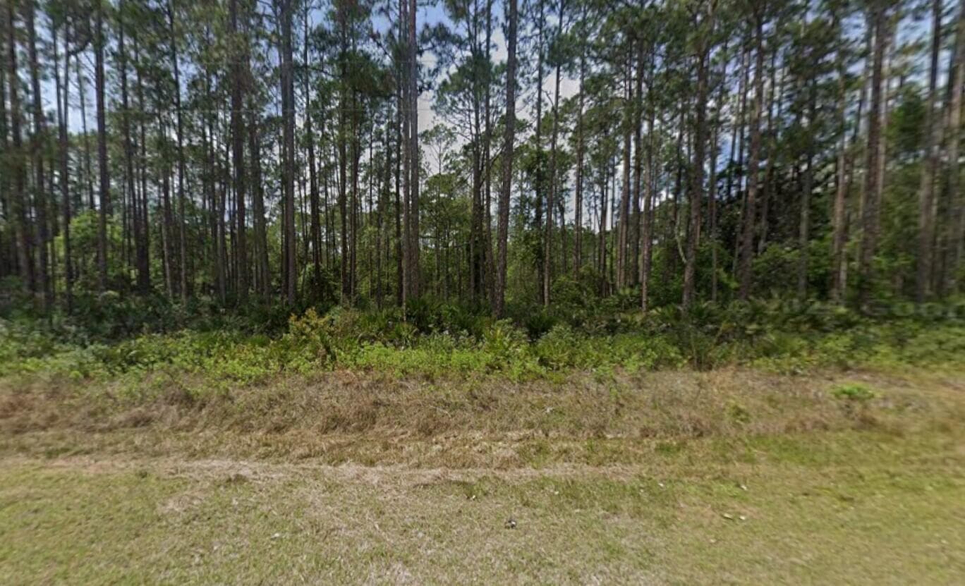 141 E Boundary Drive, Georgetown, FL 32139 — photo