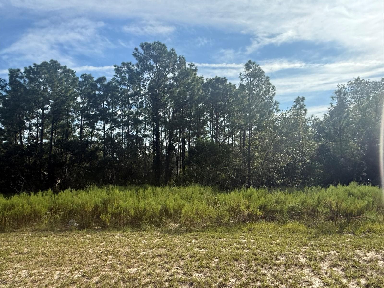 Tbd 135th St Road, Ocala, FL 34473 — photo 1 of 4