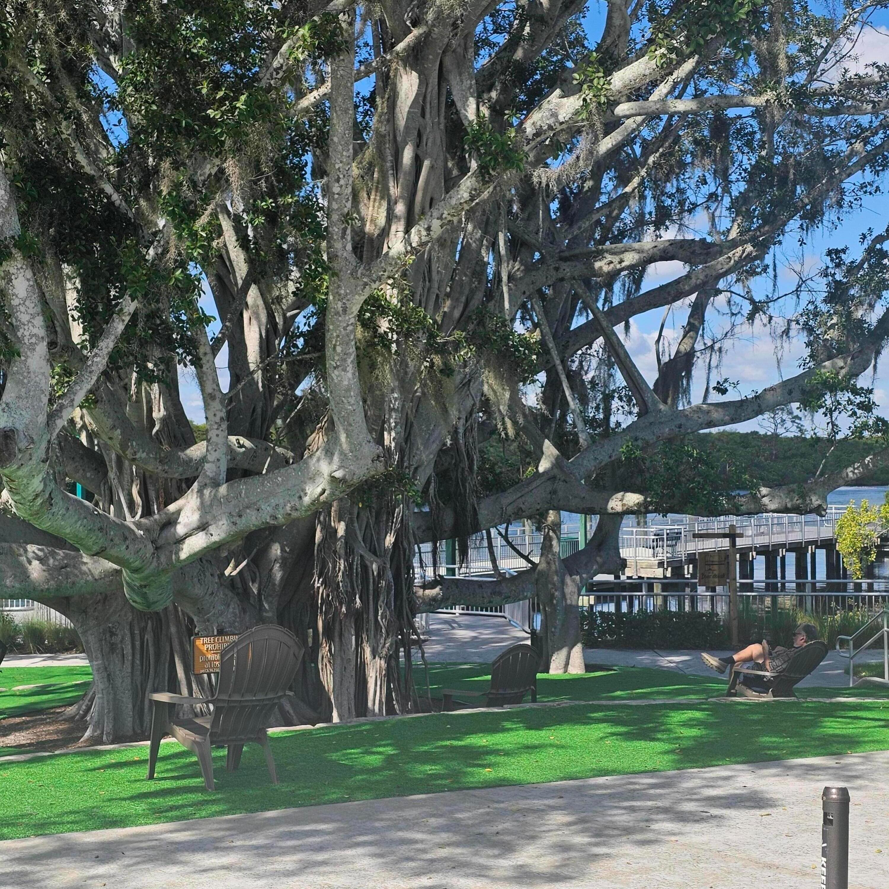232 SE Via Visconti, Port St. Lucie, FL 34952 — photo 27 of 36