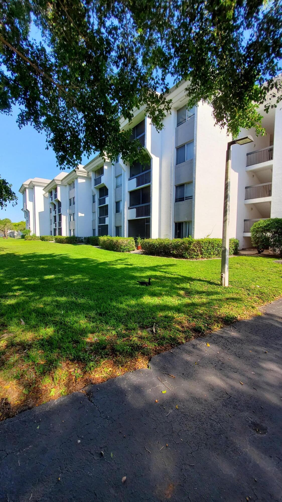 721 N Pine Island Road 103, Plantation, FL 33324 — photo 46 of 54