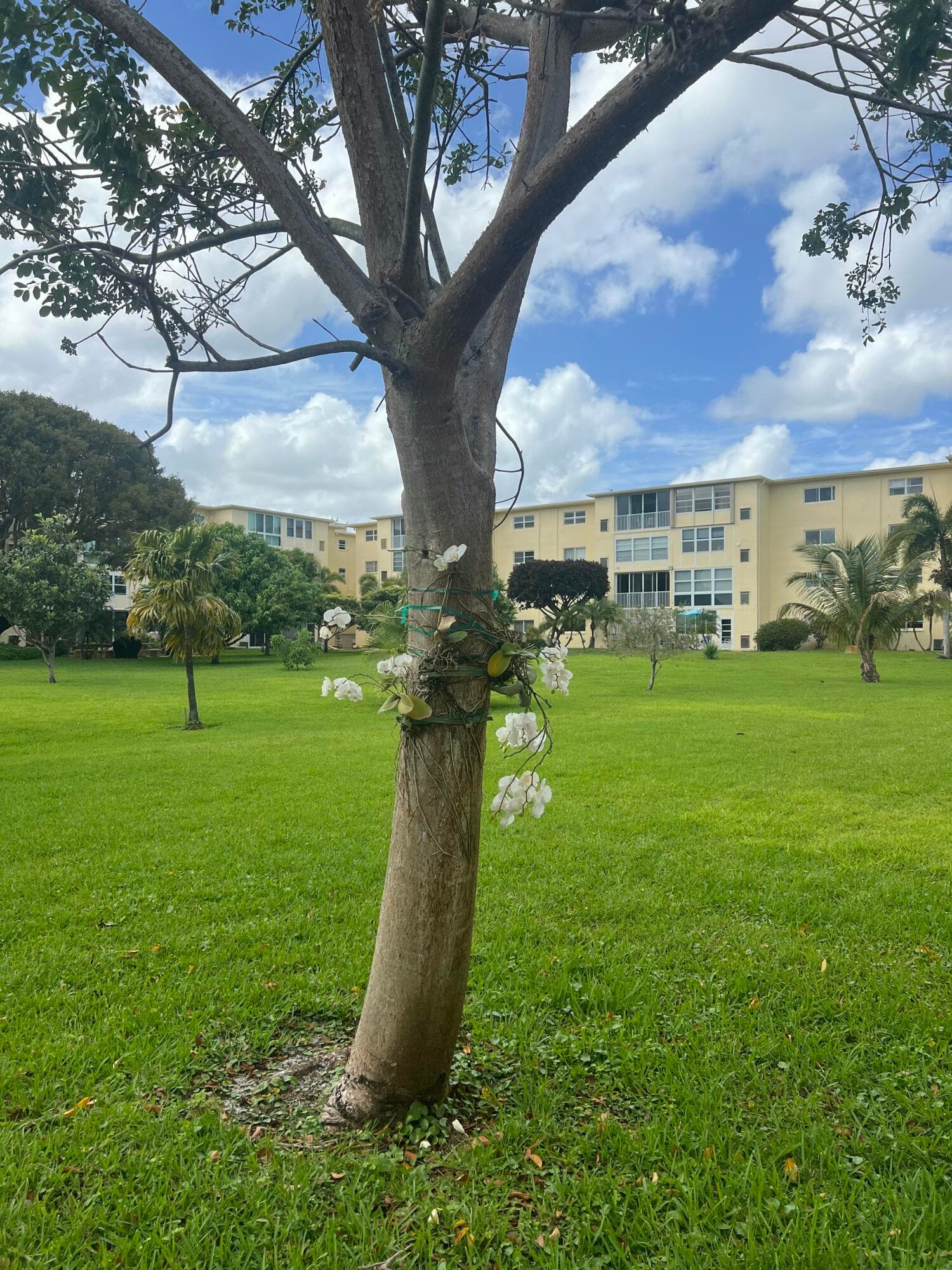 2615 NE 3rd Court 213, Boynton Beach, FL 33435 — photo 50 of 69