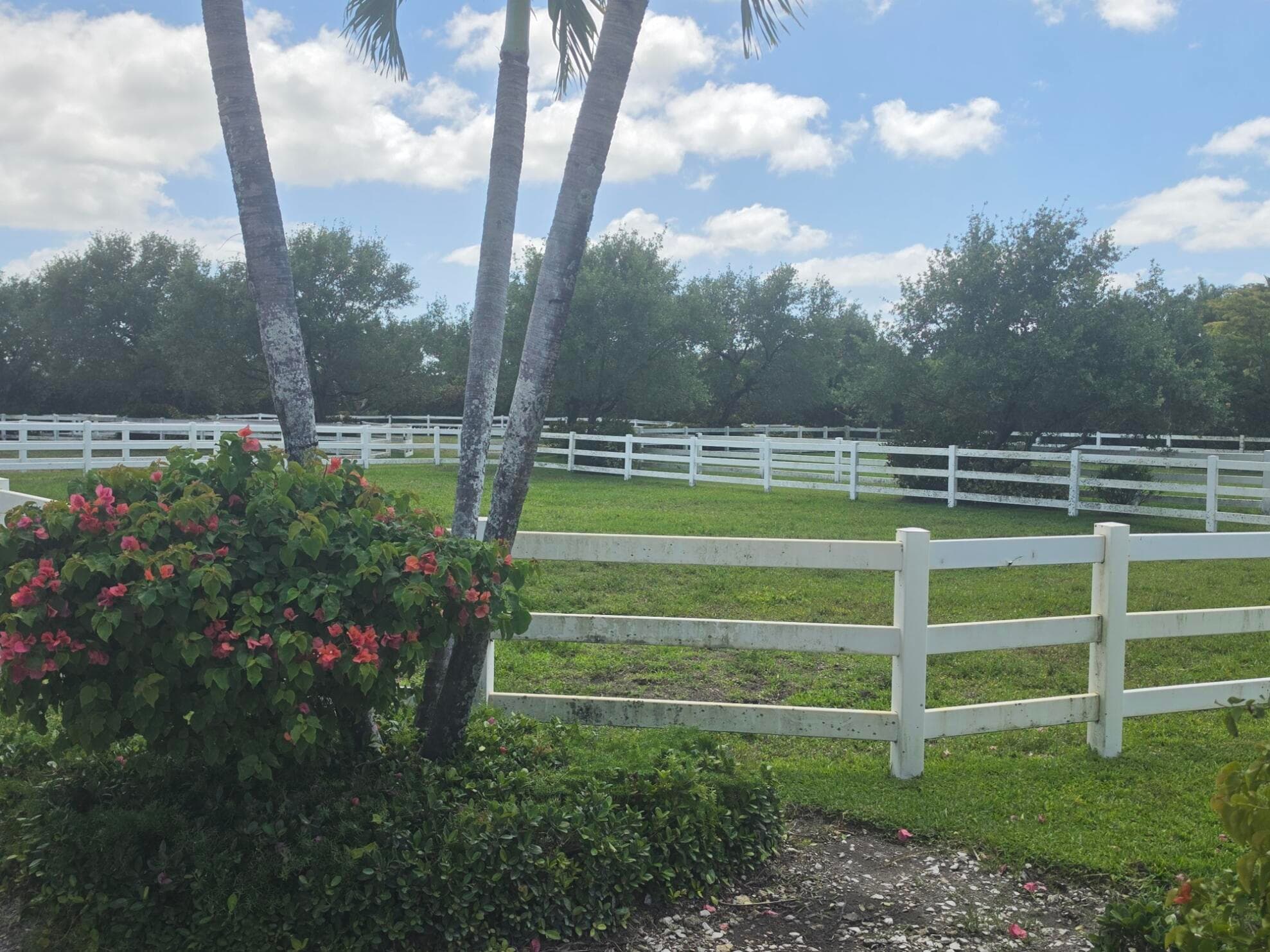 14127 Equestrian Way, Wellington, FL 33414 — photo 3 of 14