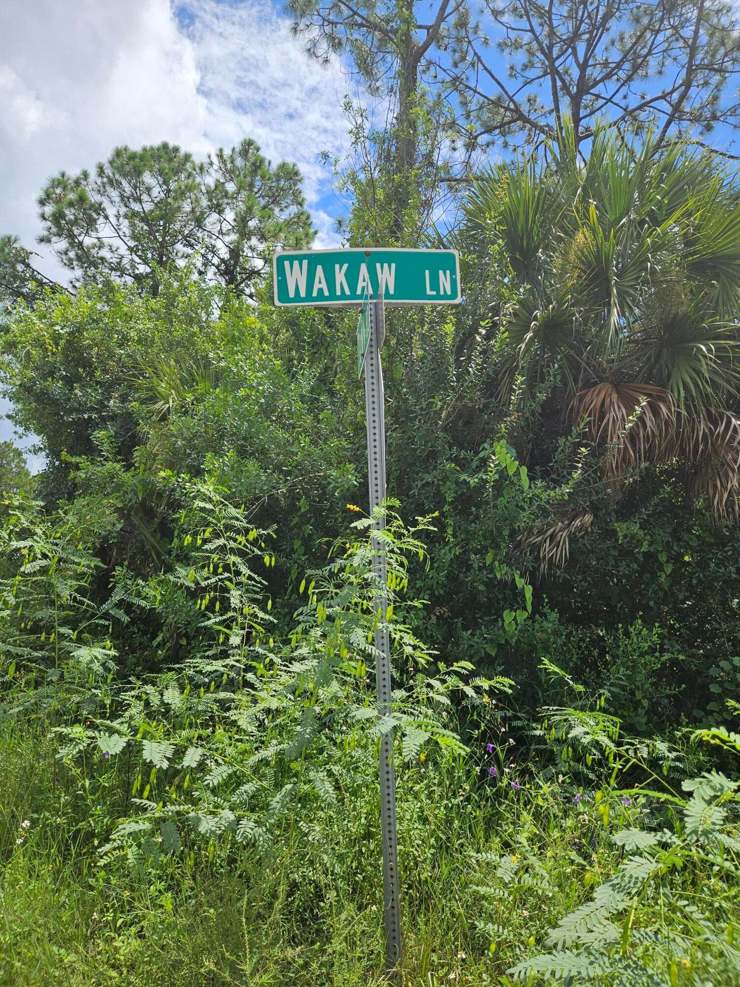 801 Wakaw Lane SW, Palm Bay, FL 32908 — photo