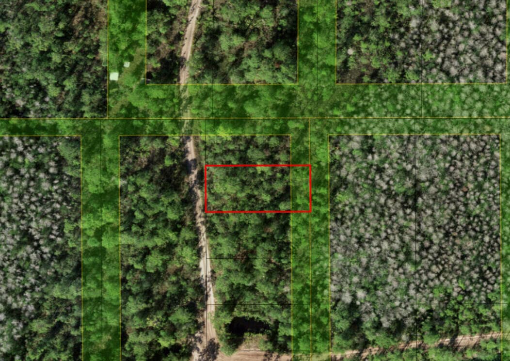 0 Holopaw Groves Road, St. Cloud, FL 34772 — photo 3 of 3