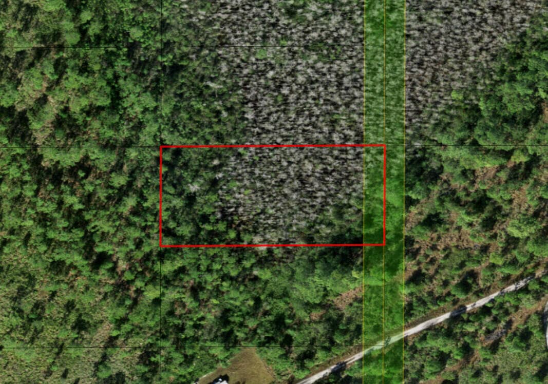 0 Holopaw Groves Road, St. Cloud, FL 34772 — photo 3 of 3