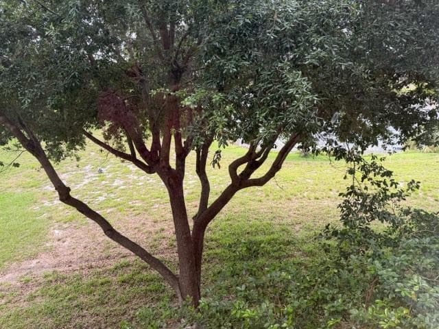 357 N Rock Island Road 306, Margate, FL 33063 — photo 11 of 19