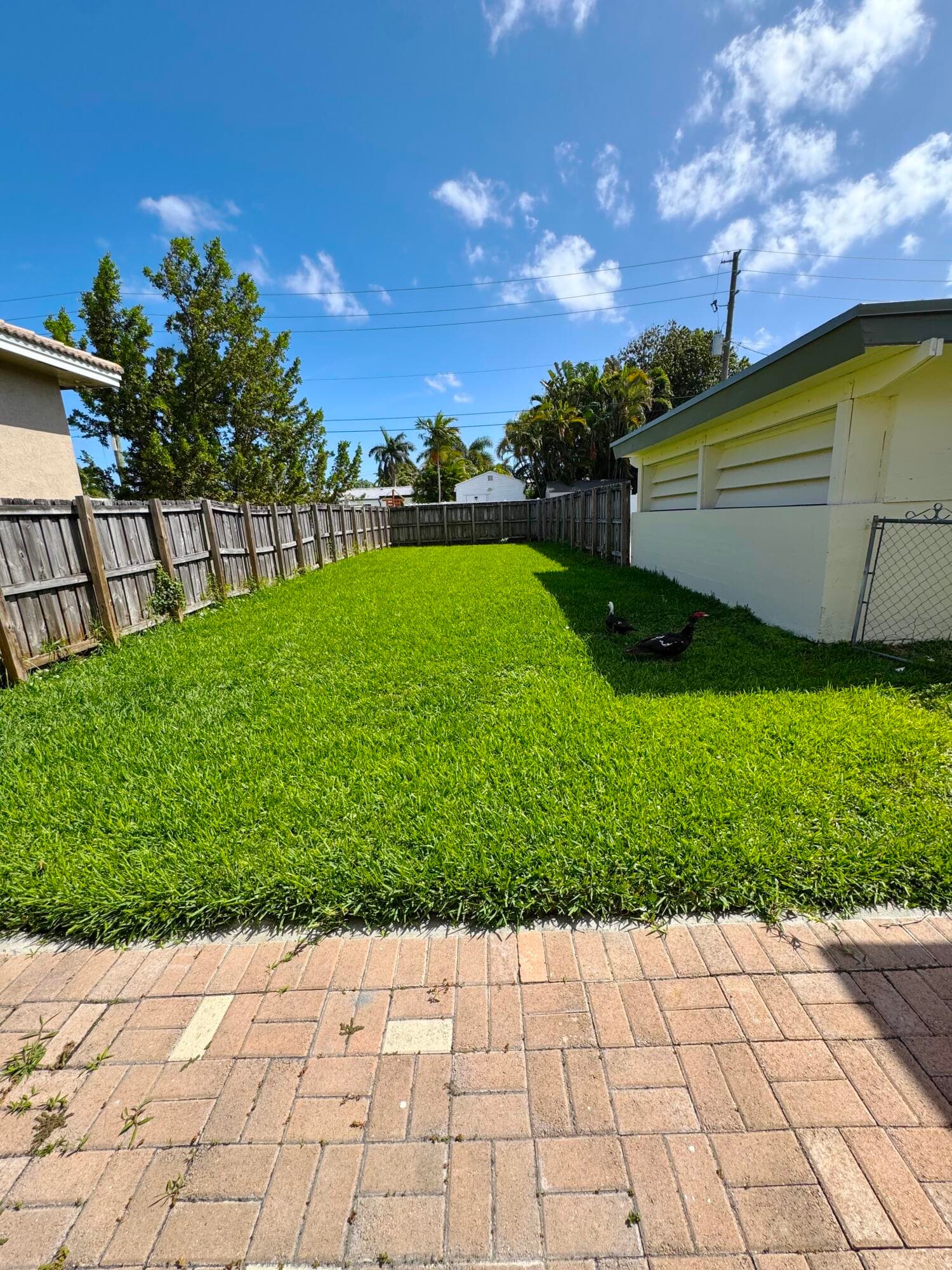 222 SE 2nd Terrace, Dania Beach, FL 33004 — photo 42 of 52