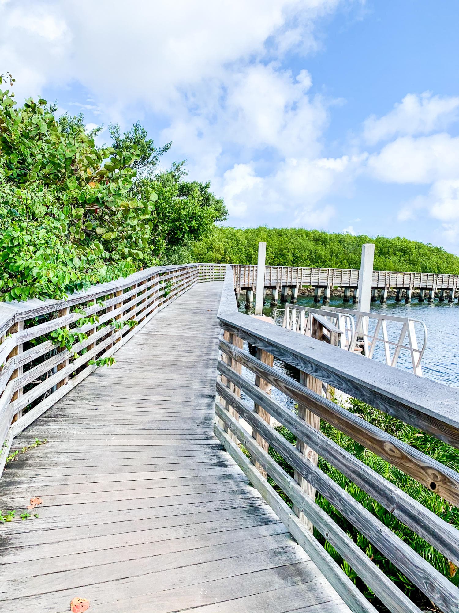 221 S Ocean Breeze #1 & #2, Lake Worth Beach, FL 33460 — photo 53 of 59