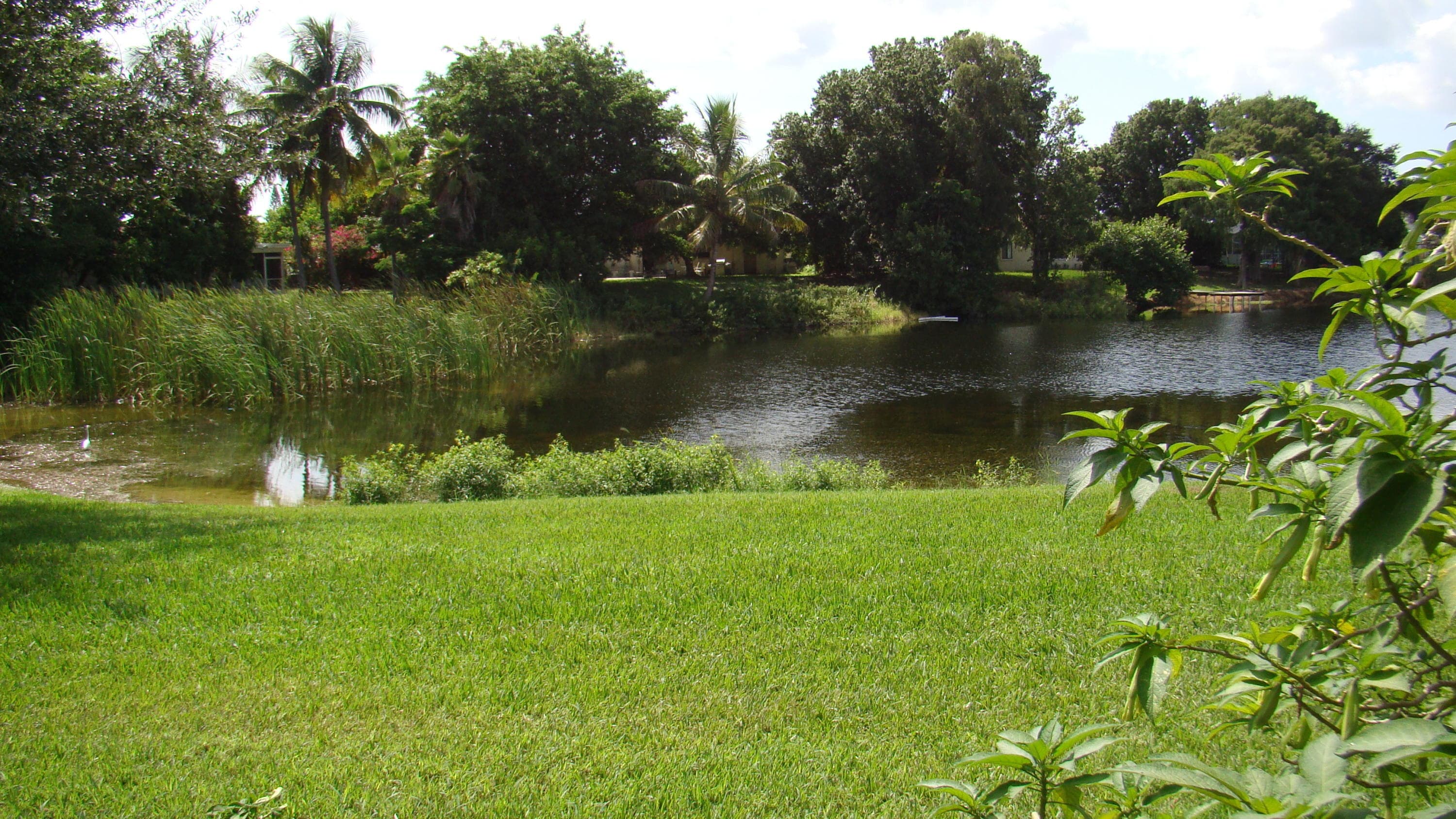 3845 Victoria Drive, West Palm Beach, FL 33406 — photo 3 of 31
