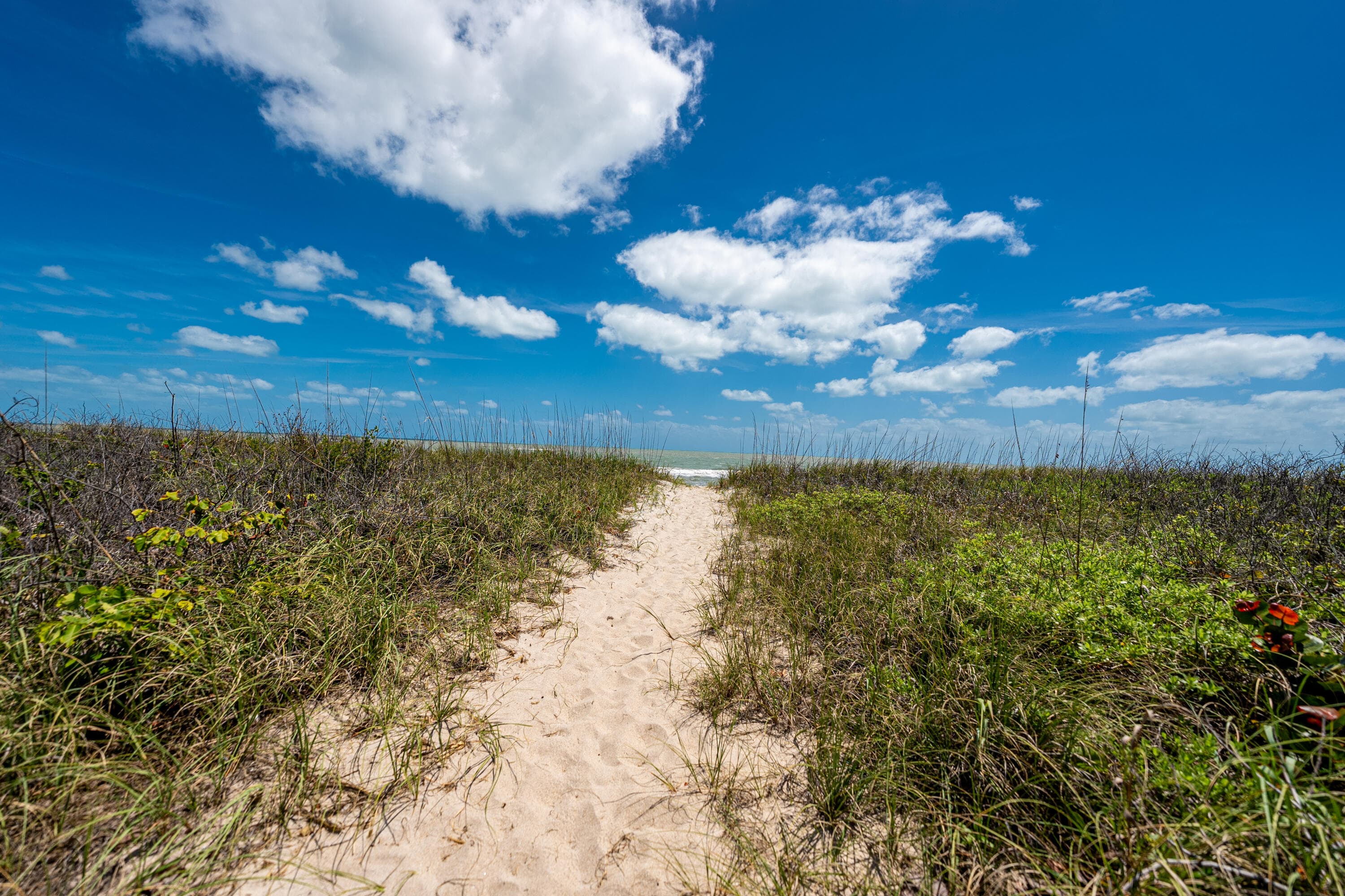 2900 N Highway 11-b, Hutchinson Island, FL 34949 — photo 41 of 84