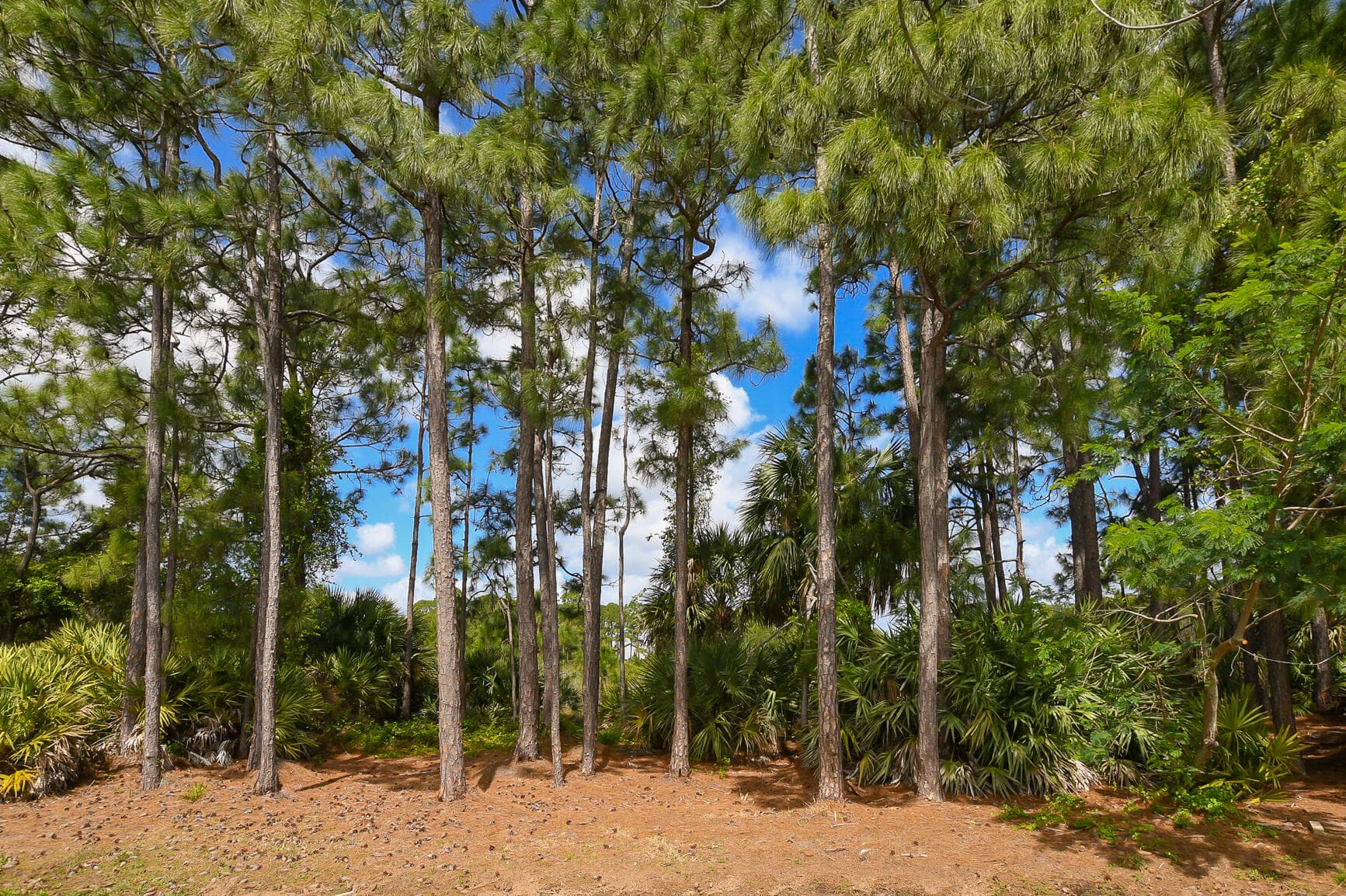 316 SW Maclay Way, Port St. Lucie, FL 34986 — photo 33 of 45