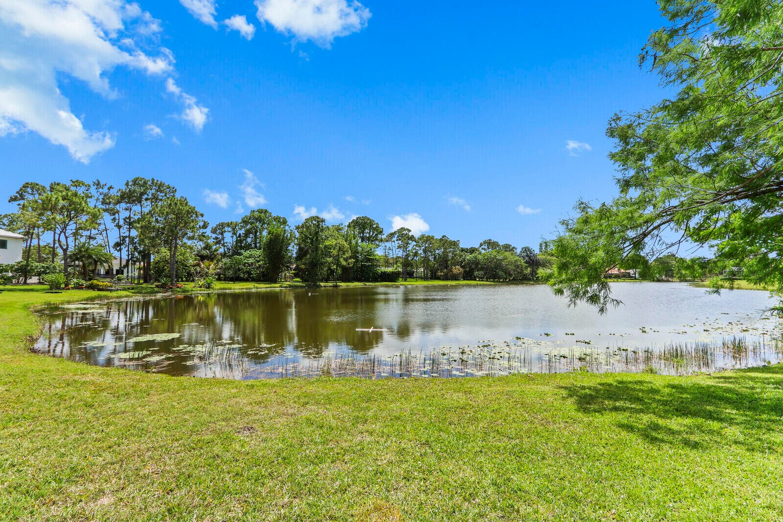 8280 Woodsmuir Drive, Palm Beach Gardens, FL 33412 — photo 14 of 87
