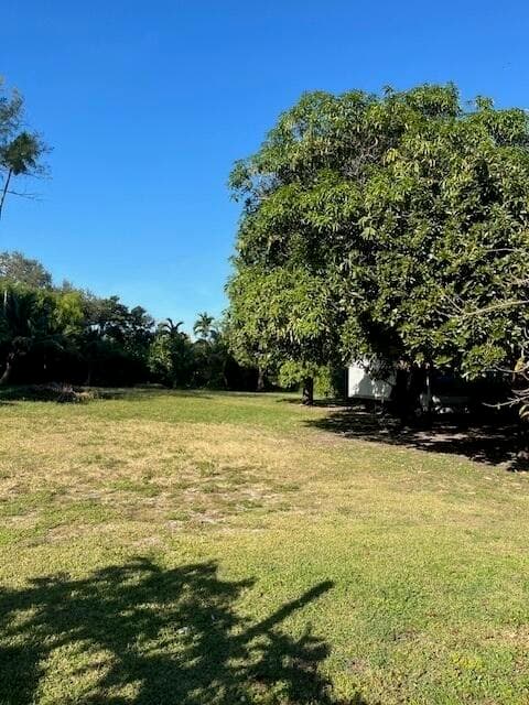1283 NE 115th Street, Miami, FL 33161 — photo 6 of 13