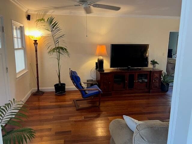1283 NE 115th Street, Miami, FL 33161 — photo 11 of 13