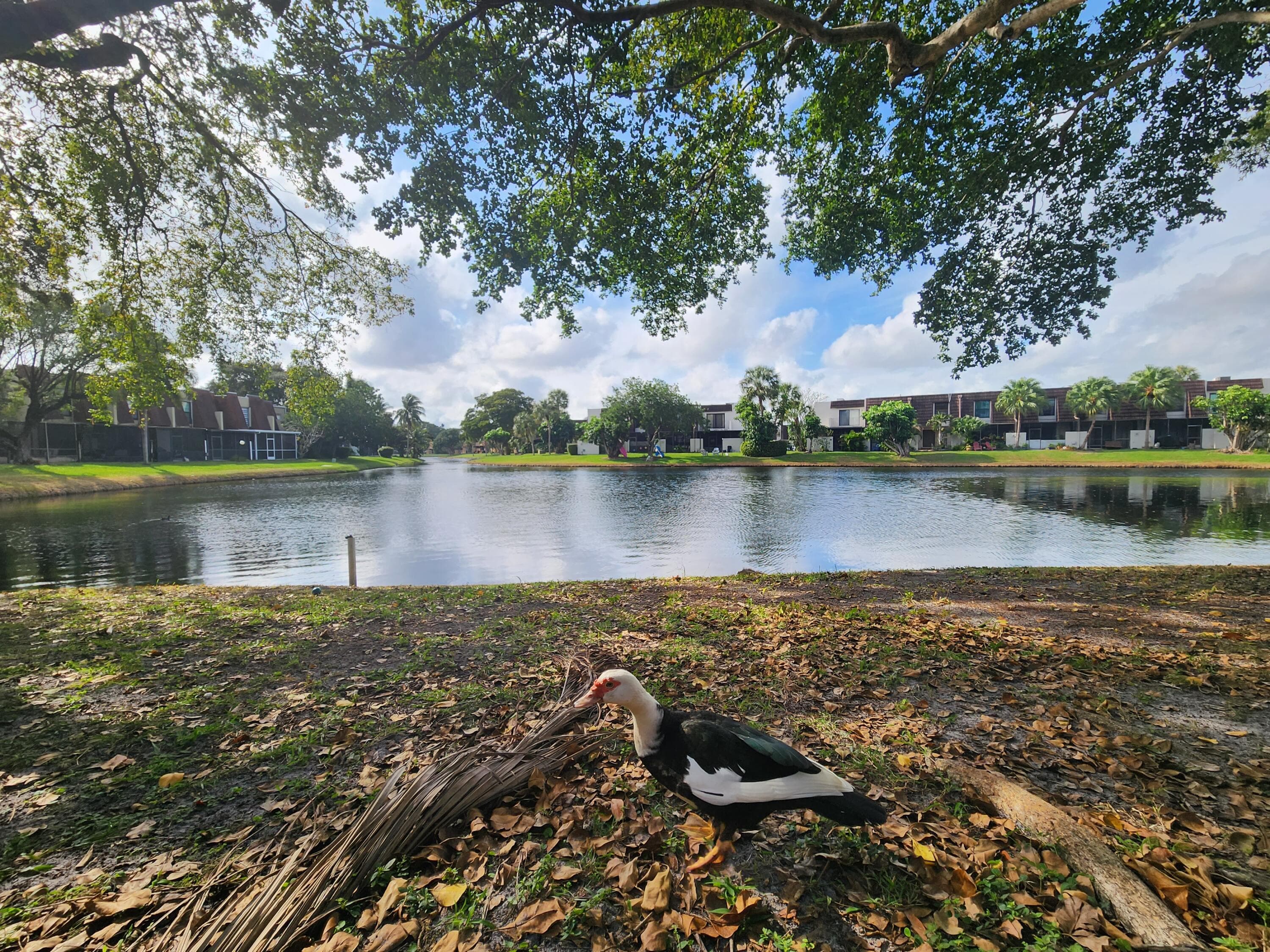 1504 NW 89th Terrace 1504, Pembroke Pines, FL 33024 — photo 5 of 31