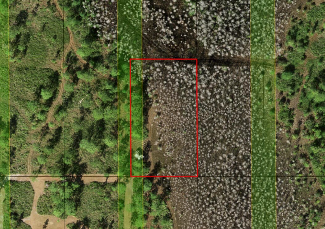 0 Holopaw Groves Road, St. Cloud, FL 34772 — photo 4 of 4