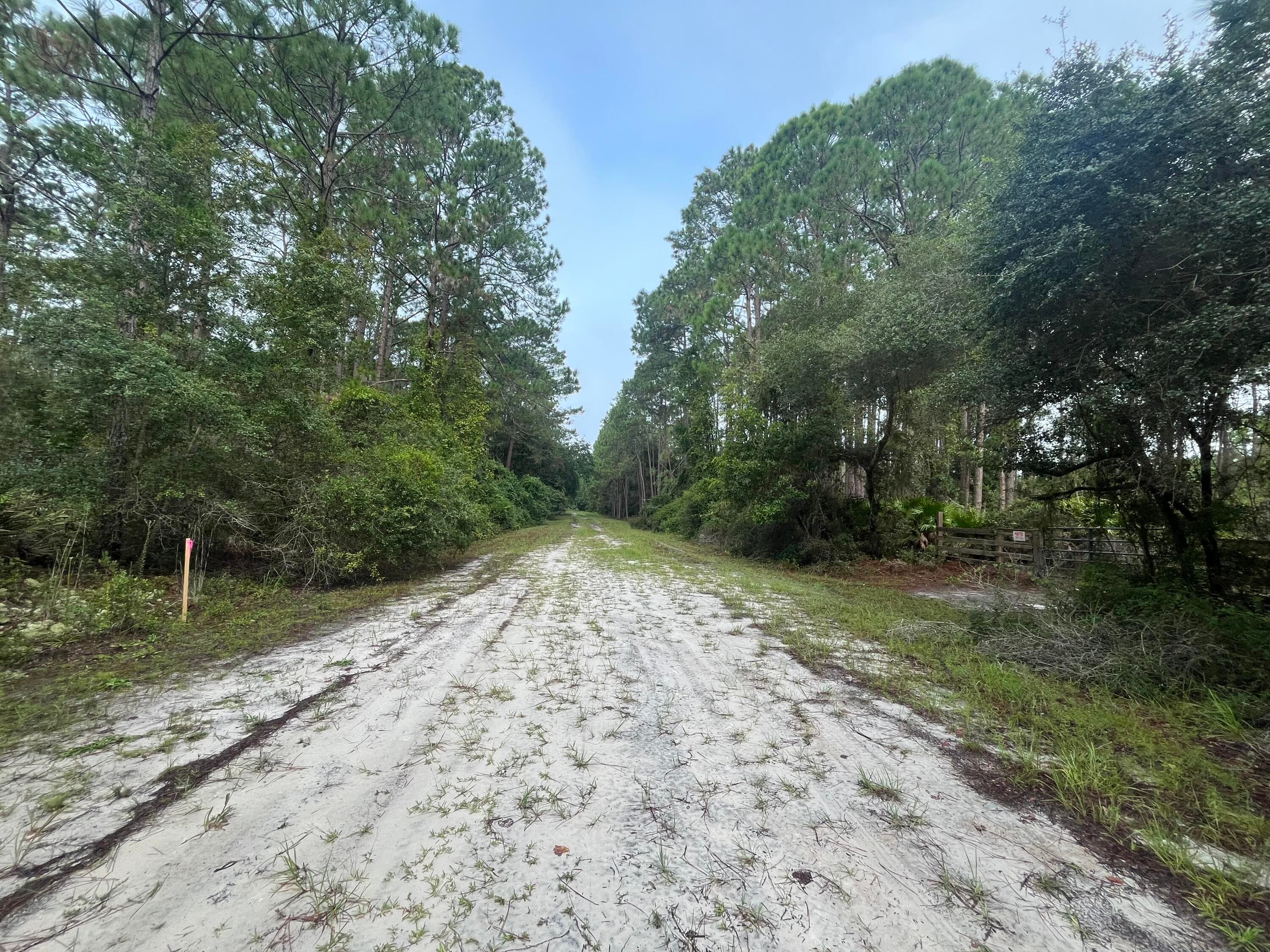 119 Gardenia Avenue, Georgetown, FL 32139 — photo 6 of 7