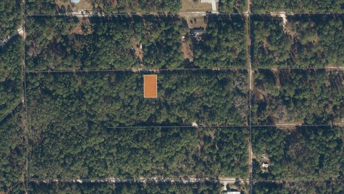 119 Gardenia Avenue, Georgetown, FL 32139 — photo 7 of 7