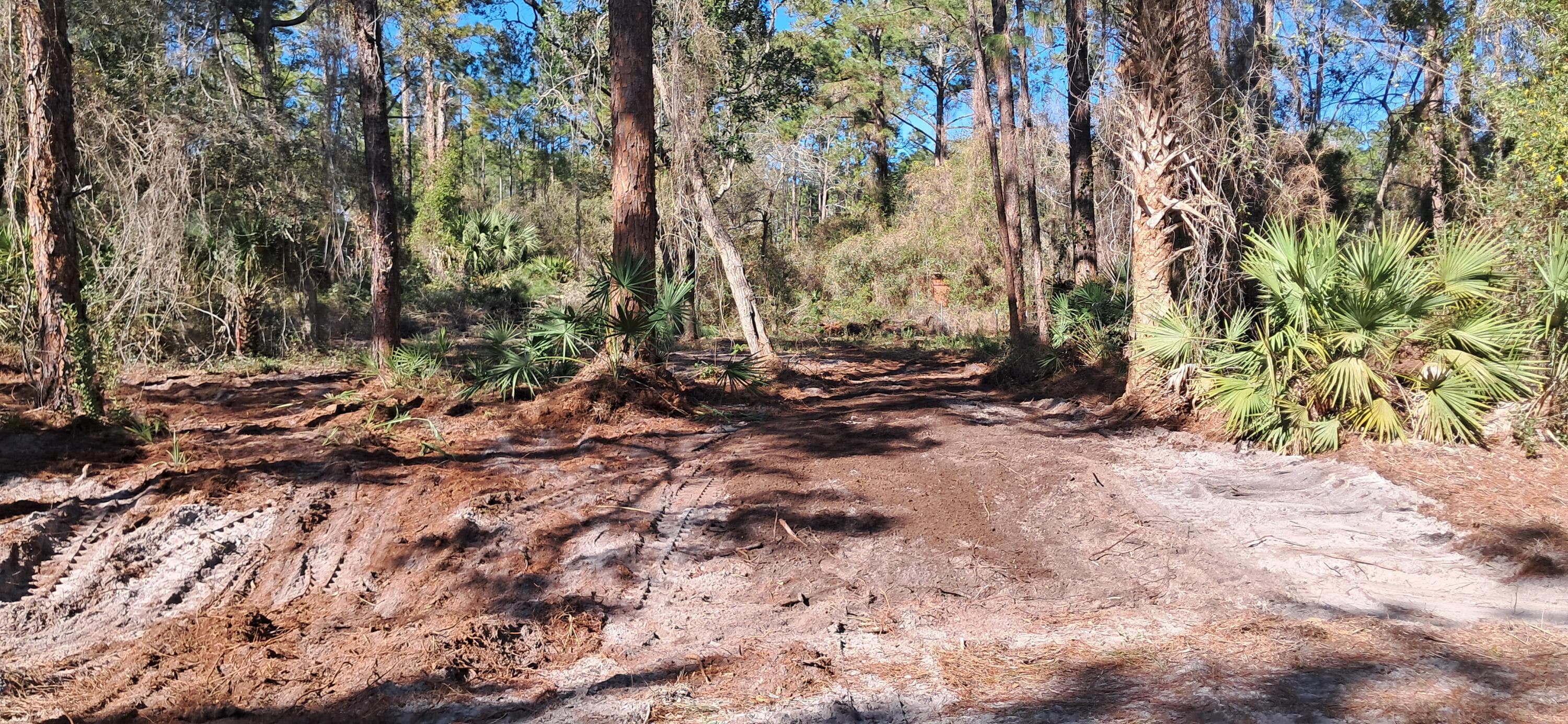 120 Gardenia Avenue, Georgetown, FL 32139 — photo