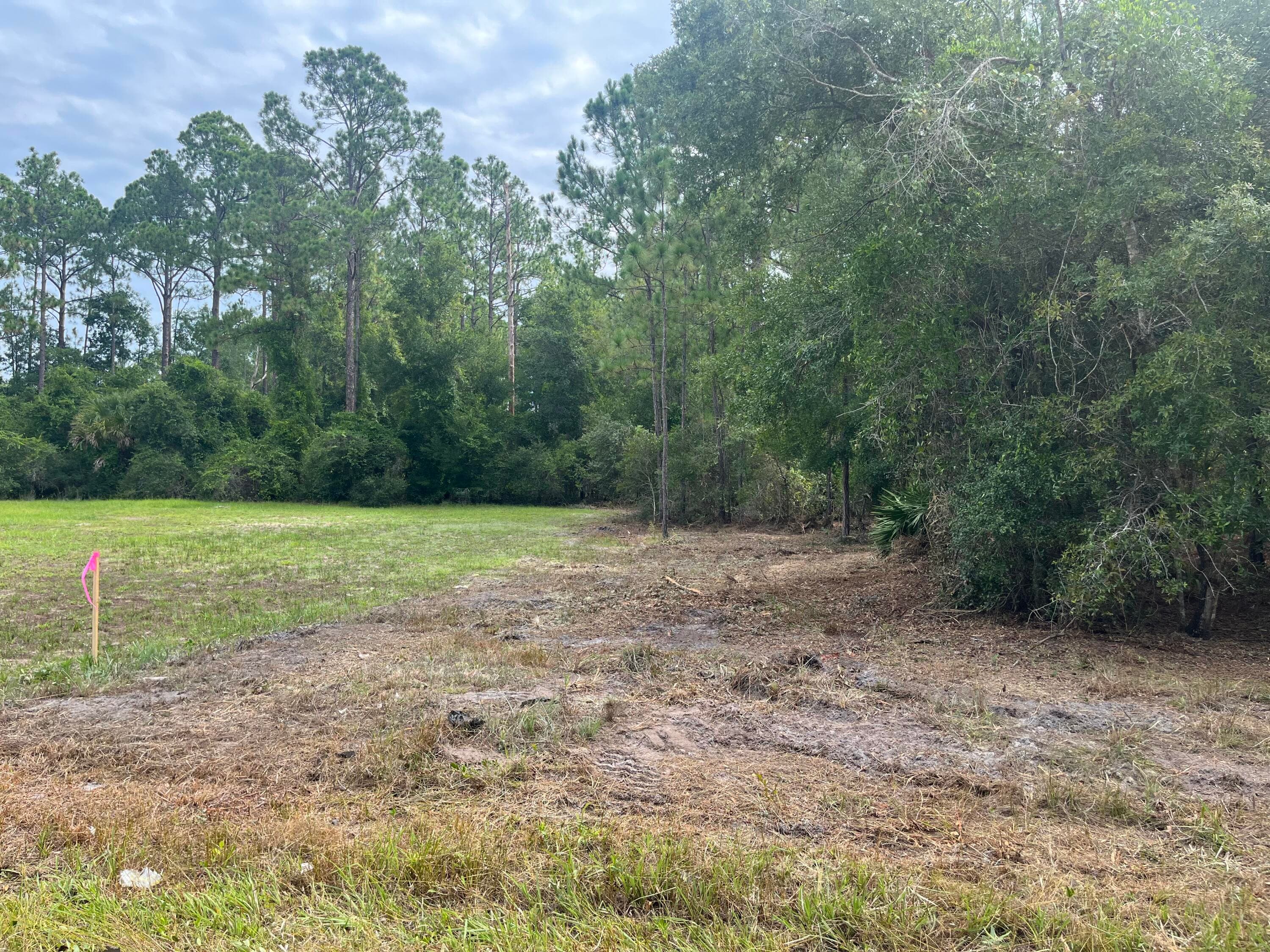 122 Glenside Street, Georgetown, FL 32139 — photo 4 of 9