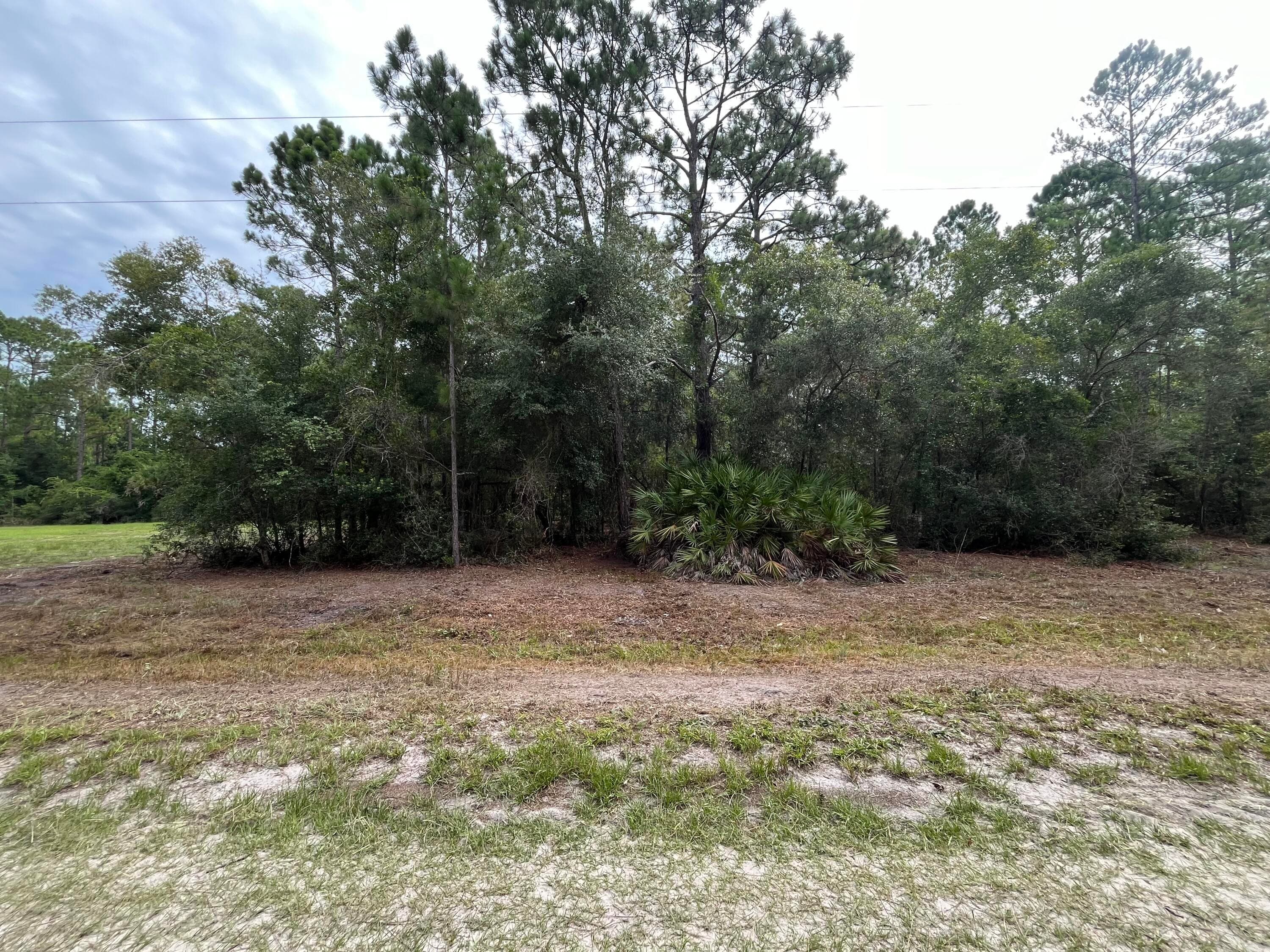 122 Glenside Street, Georgetown, FL 32139 — photo 6 of 9