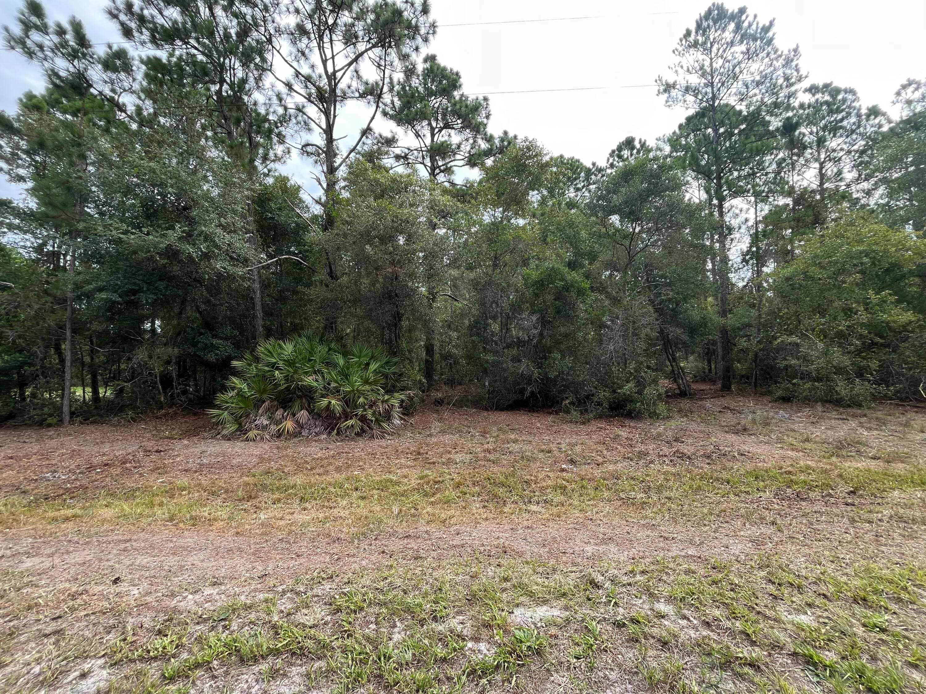 122 Glenside Street, Georgetown, FL 32139 — photo 7 of 9