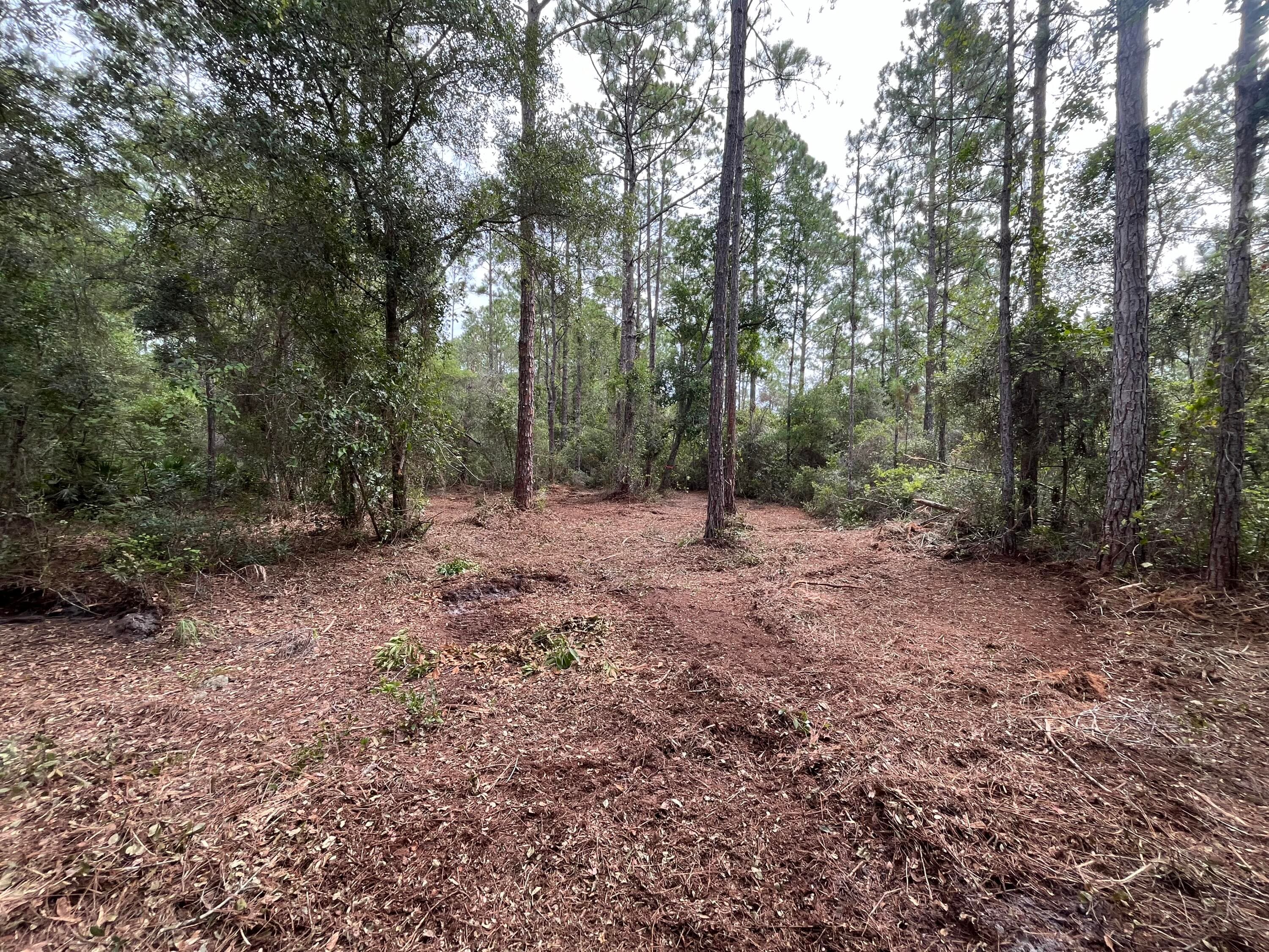 124 Glenside Street, Georgetown, FL 32139 — photo 6 of 9