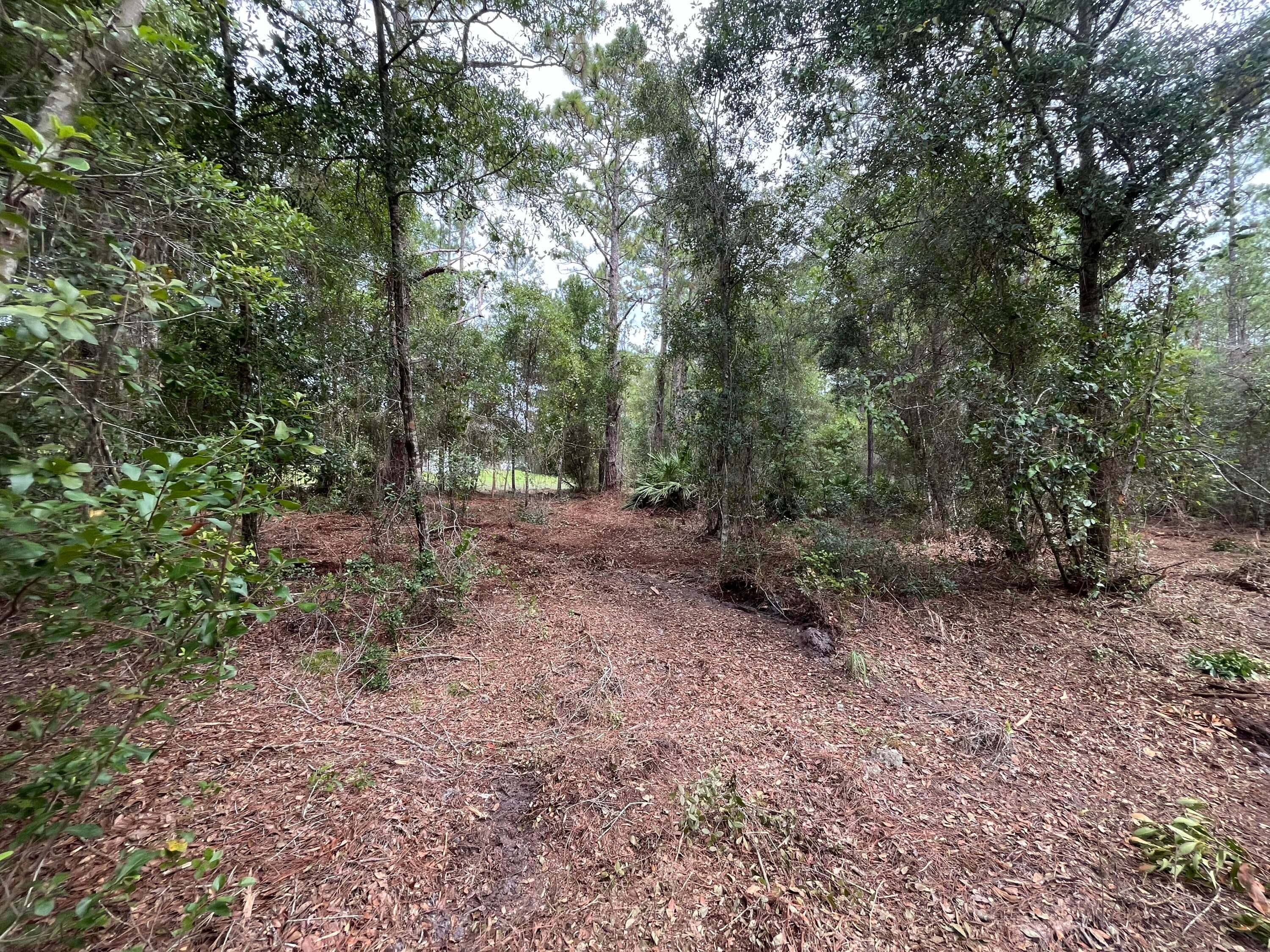 124 Glenside Street, Georgetown, FL 32139 — photo 7 of 9