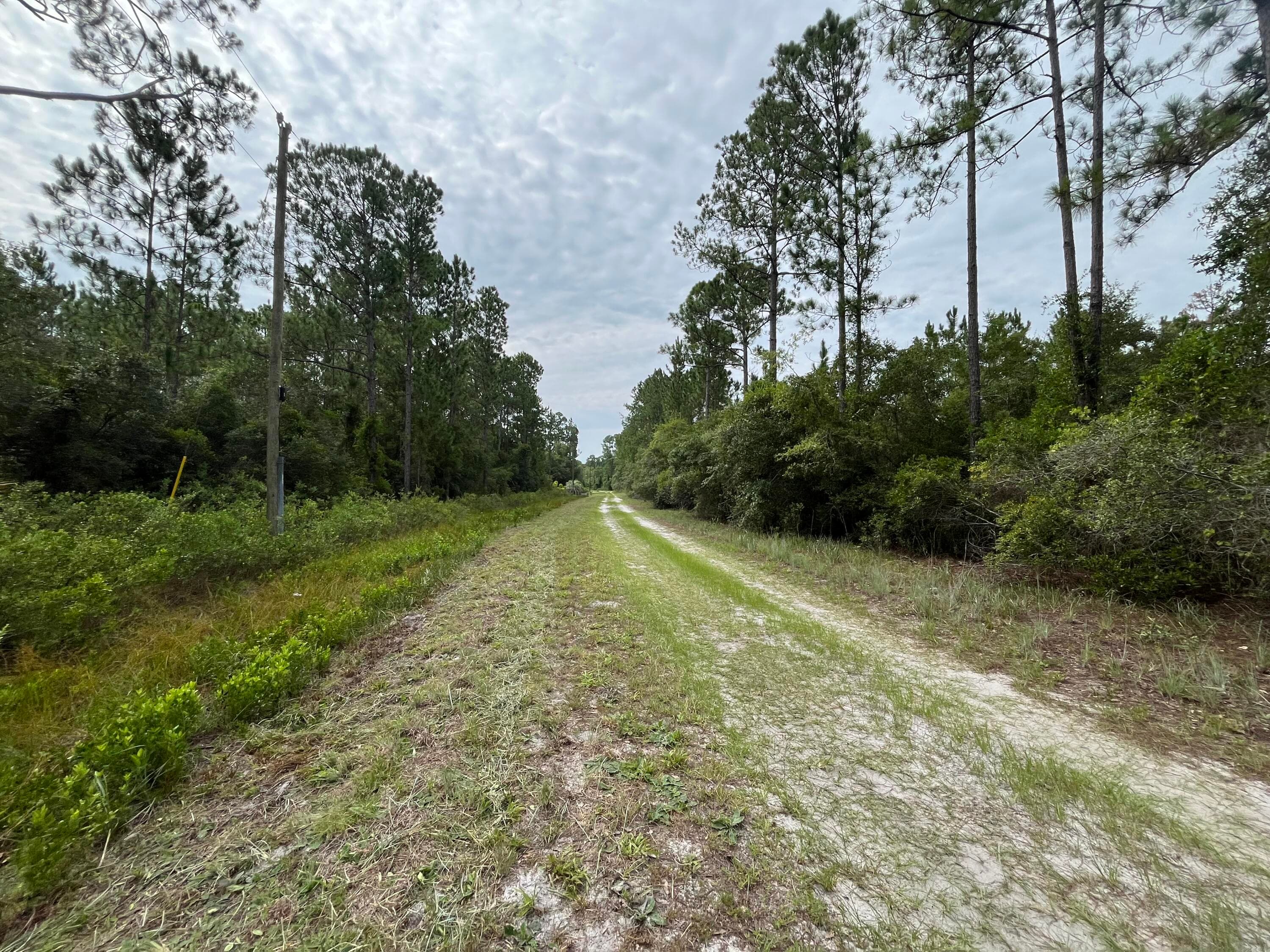 124 Glenside Street, Georgetown, FL 32139 — photo 9 of 9