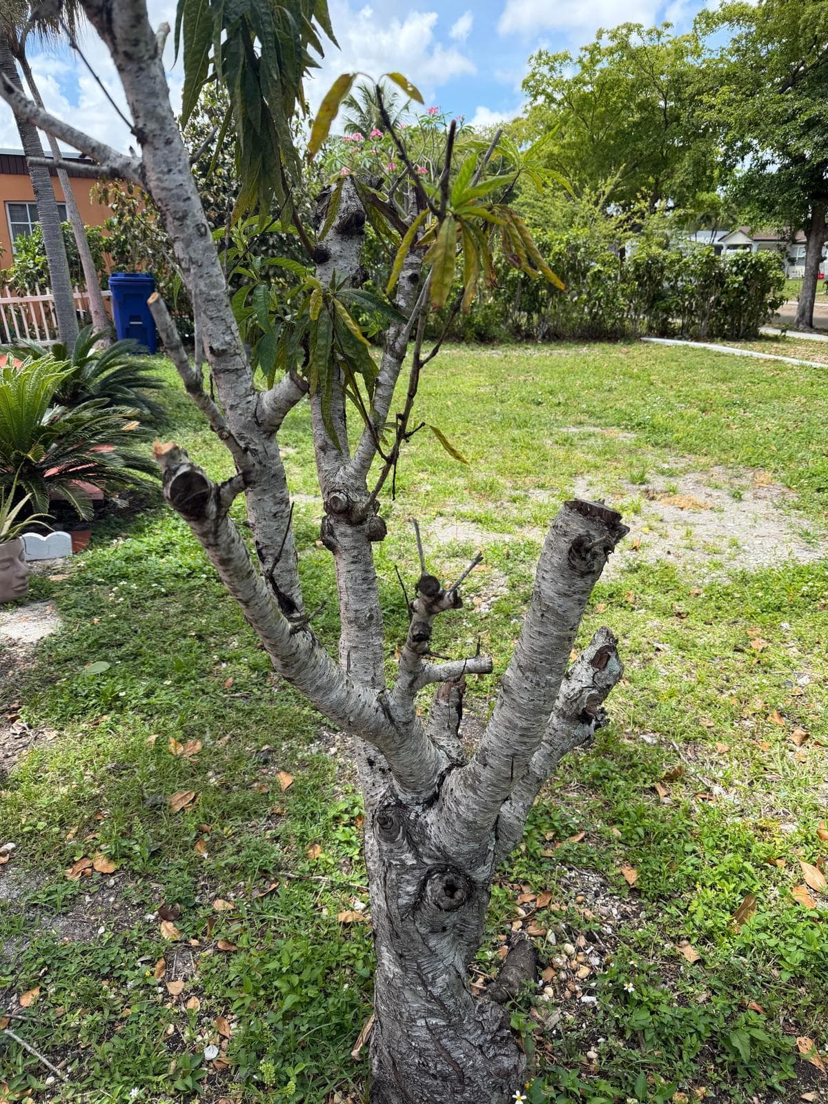 1674 NE 169th Street, North Miami Beach, FL 33162 — photo 30 of 36