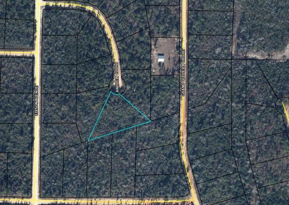 0 Andrew, Marianna, FL 32448 — photo