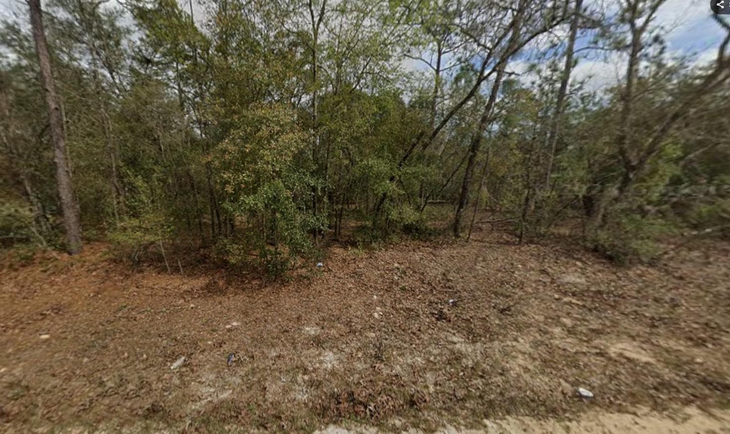 Lot 28 Janet Avenue, FL 32148 — photo 1 of 3