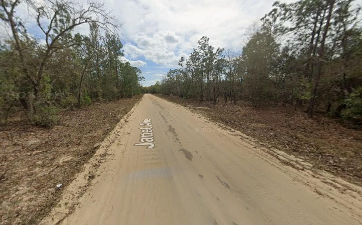 Lot 28 Janet Avenue, FL 32148 — photo 2 of 3