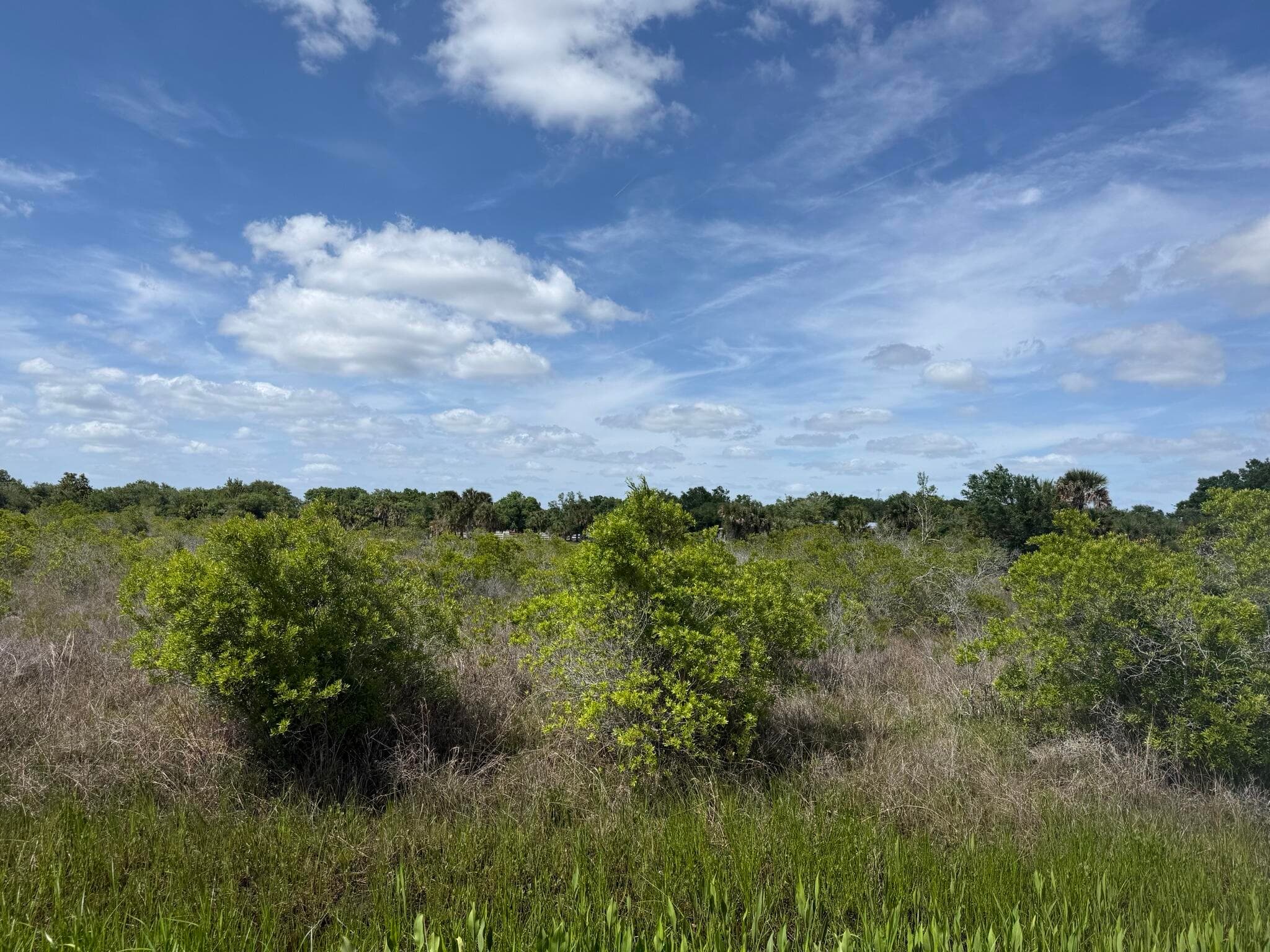 19369 NW 300th Street, Okeechobee, FL 34972 — photo 1 of 10