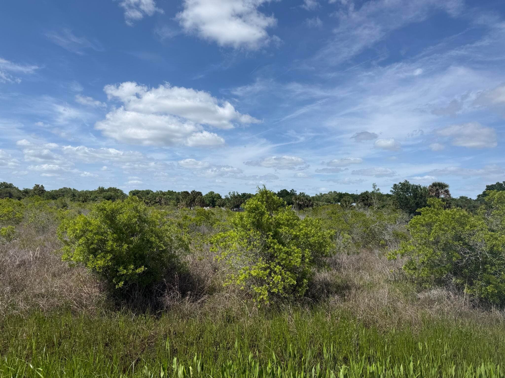 19369 NW 300th Street, Okeechobee, FL 34972 — photo 2 of 10
