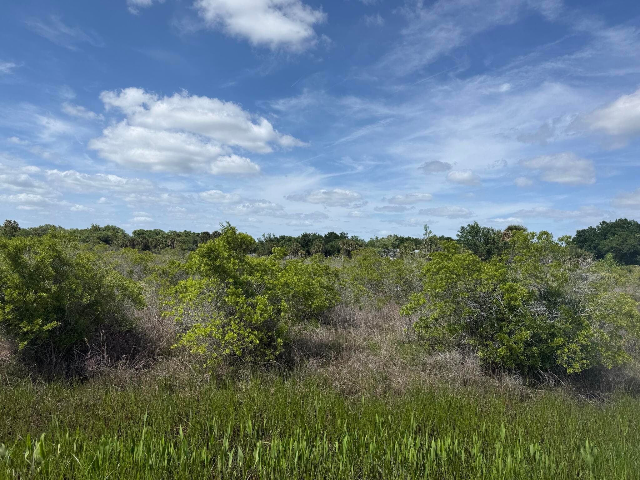 19369 NW 300th Street, Okeechobee, FL 34972 — photo 9 of 10