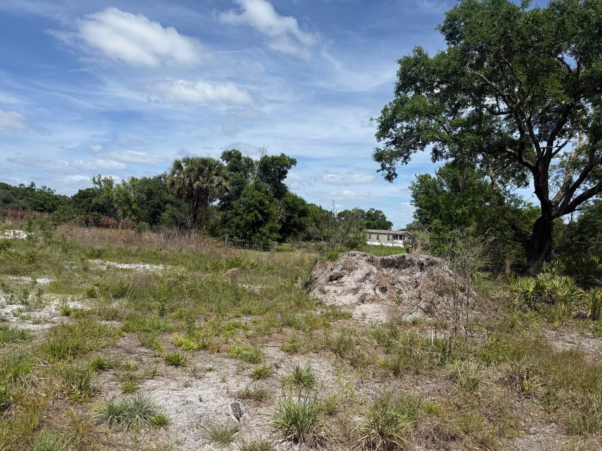 18121 NW 256th Street, Okeechobee, FL 34972 — photo 3 of 11