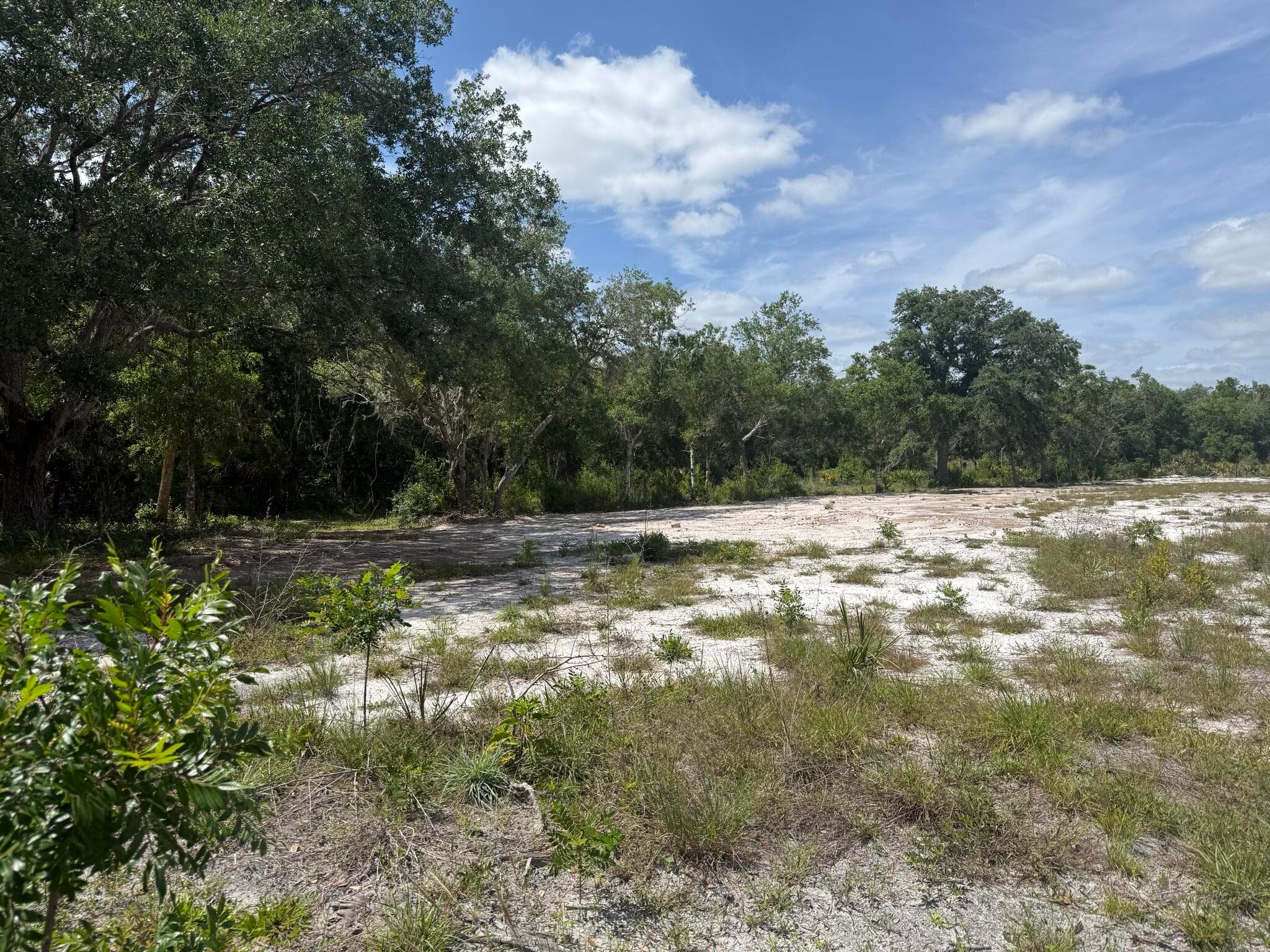 18121 NW 256th Street, Okeechobee, FL 34972 — photo 4 of 11
