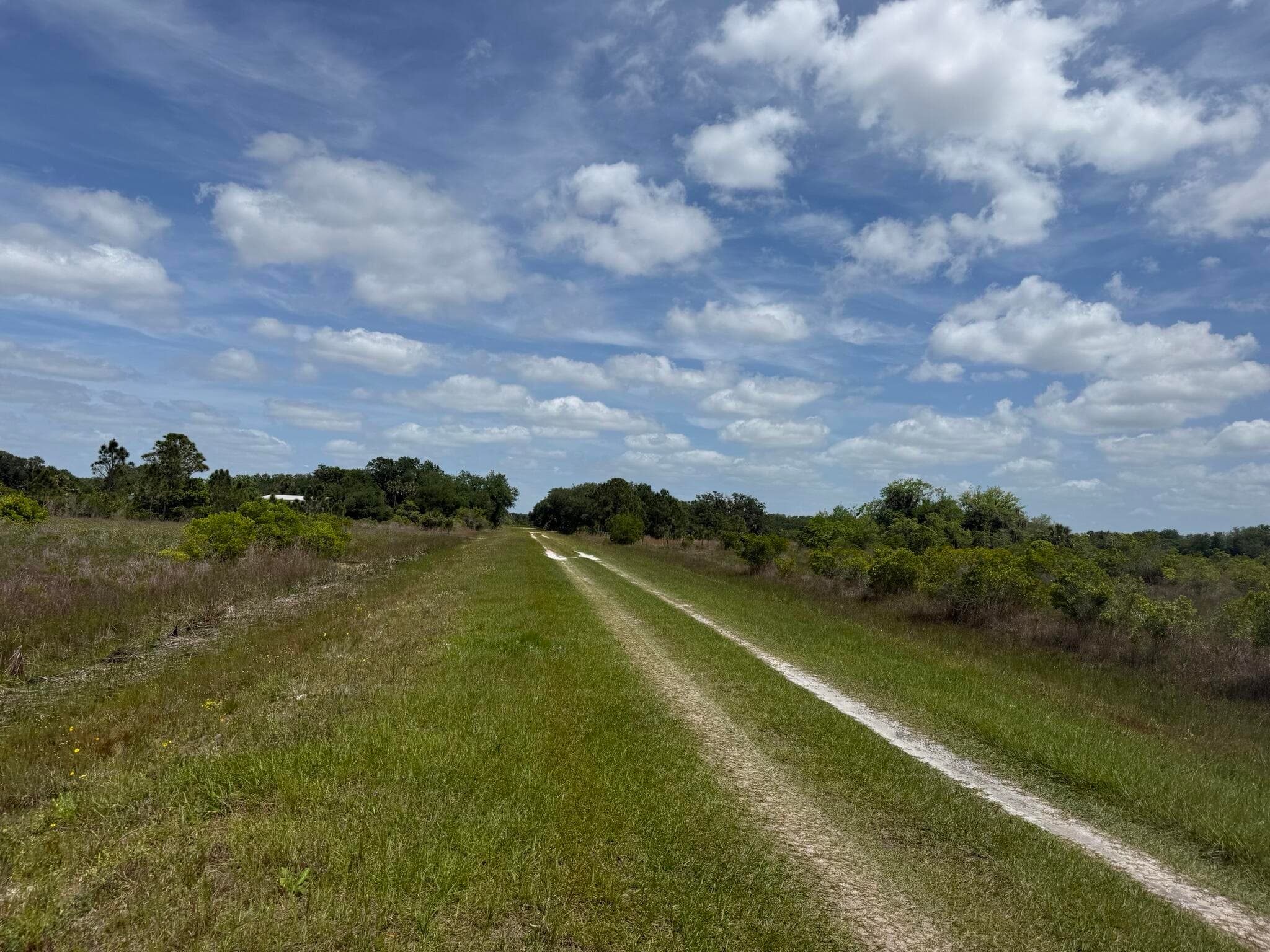15575 NW 296th Street, Okeechobee, FL 34972 — photo 3 of 9