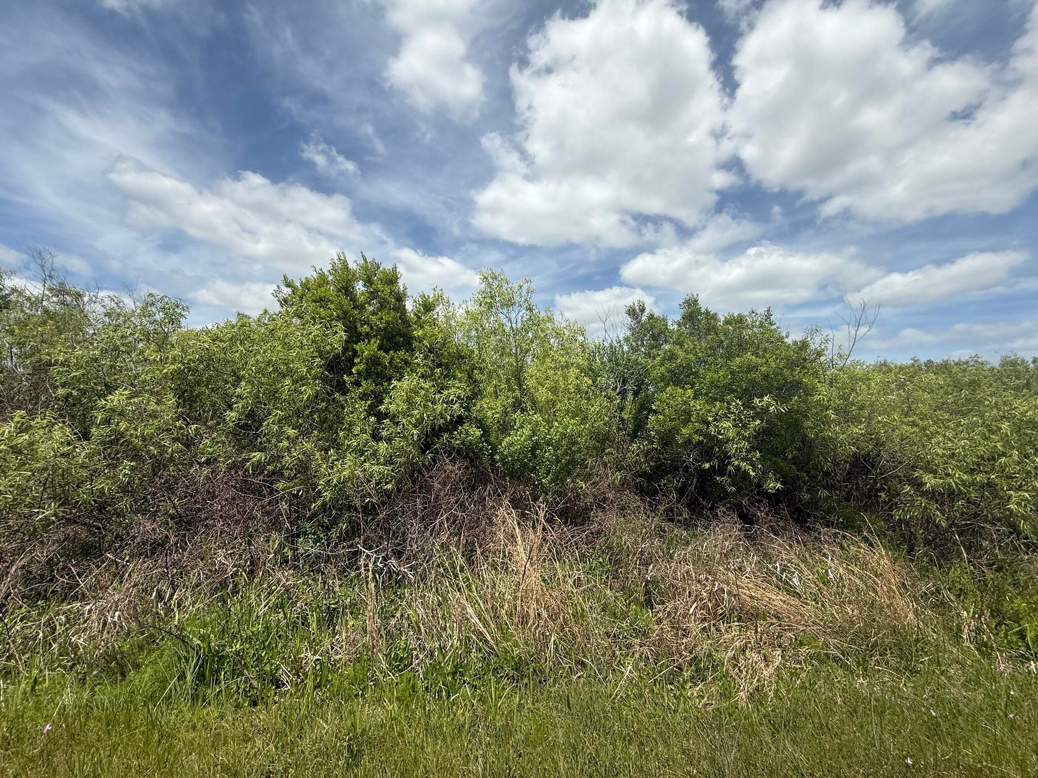 15837 NW 282nd Street, Okeechobee, FL 34972 — photo 1 of 11