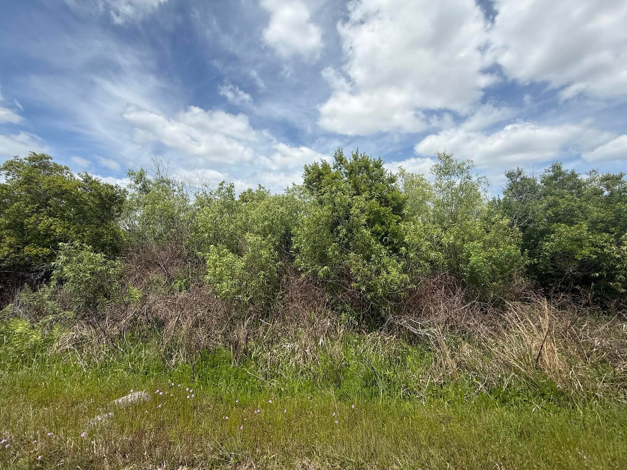 15837 NW 282nd Street, Okeechobee, FL 34972 — photo 3 of 11