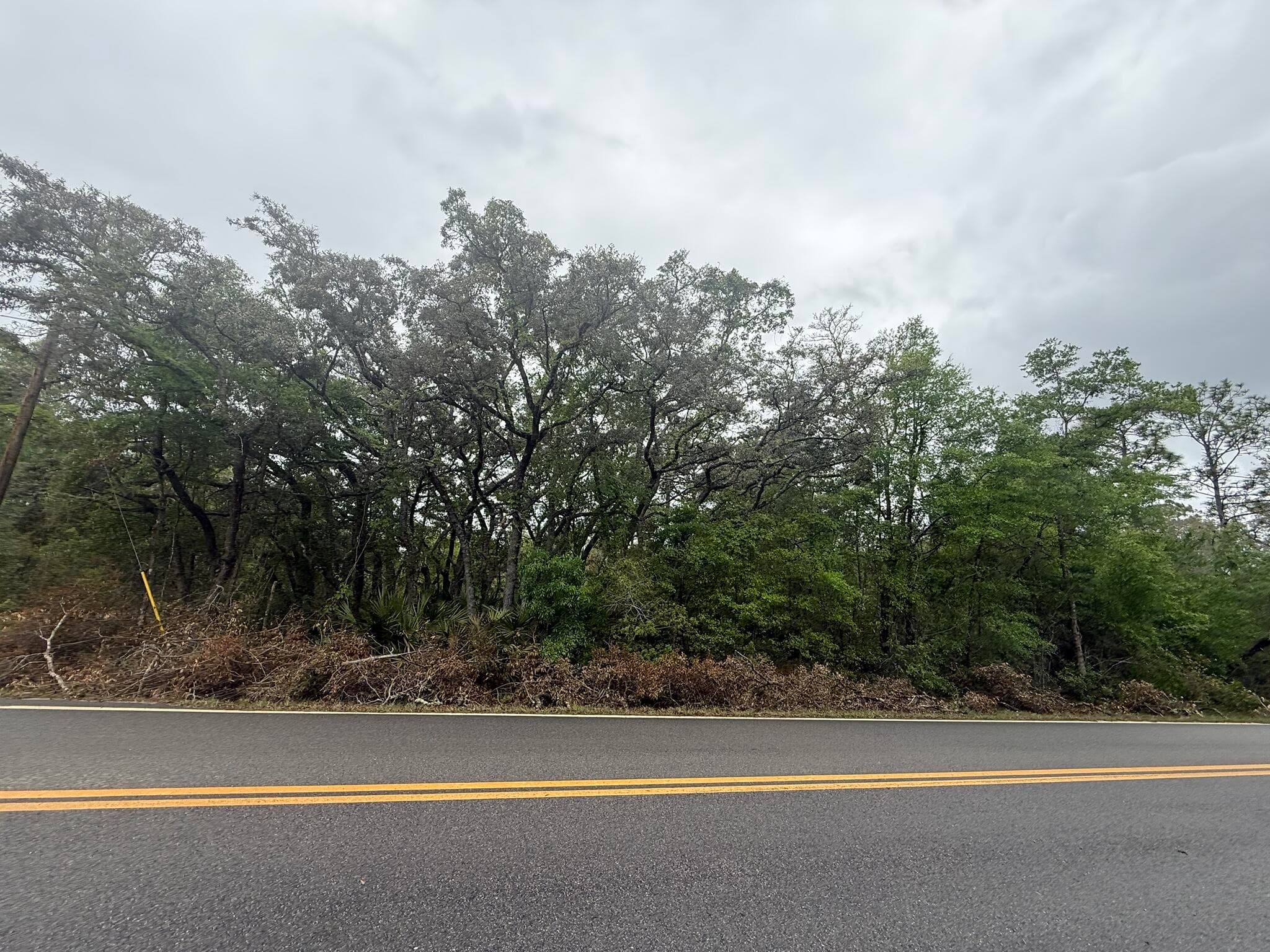 Tbd Theresa Avenue, Interlachen, FL 32148 — photo 4 of 9