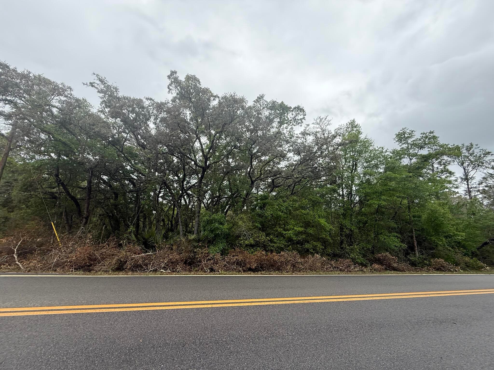 Tbd Theresa Avenue, Interlachen, FL 32148 — photo 5 of 9