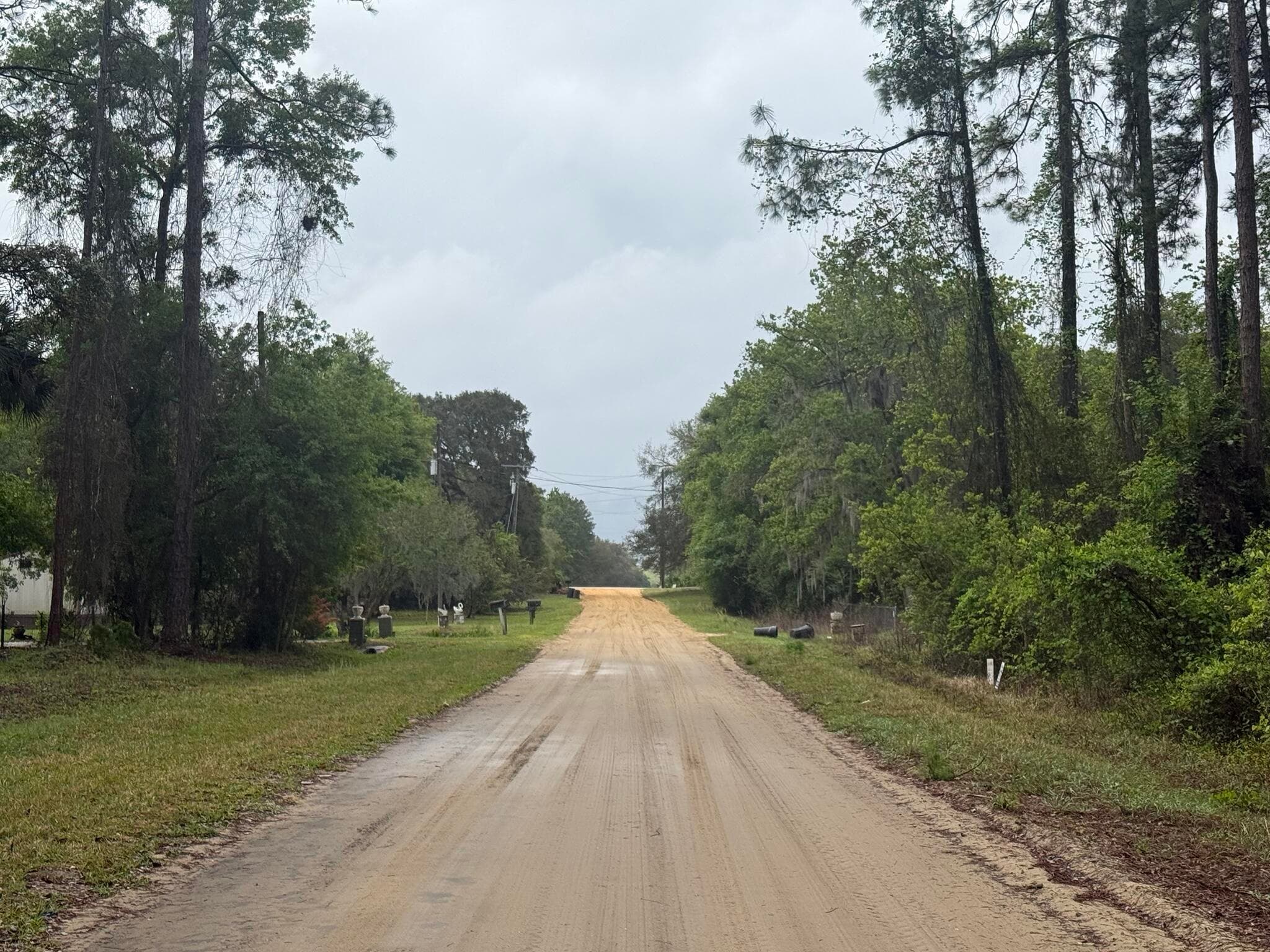 Tbd Seminole Avenue, Interlachen, FL 32148 — photo 4 of 10