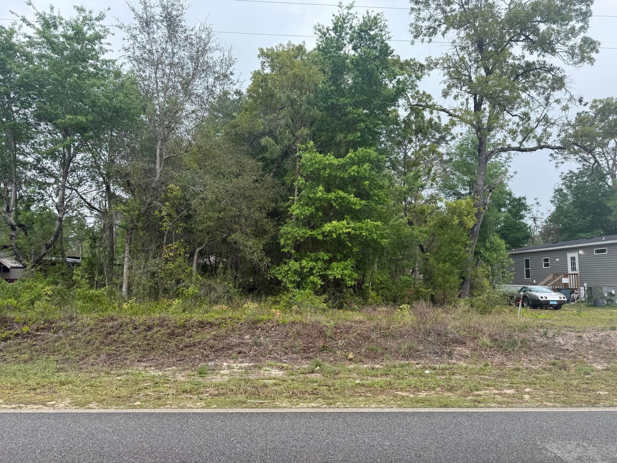 Tbd Dawn Avenue, Interlachen, FL 32148 — photo 5 of 7