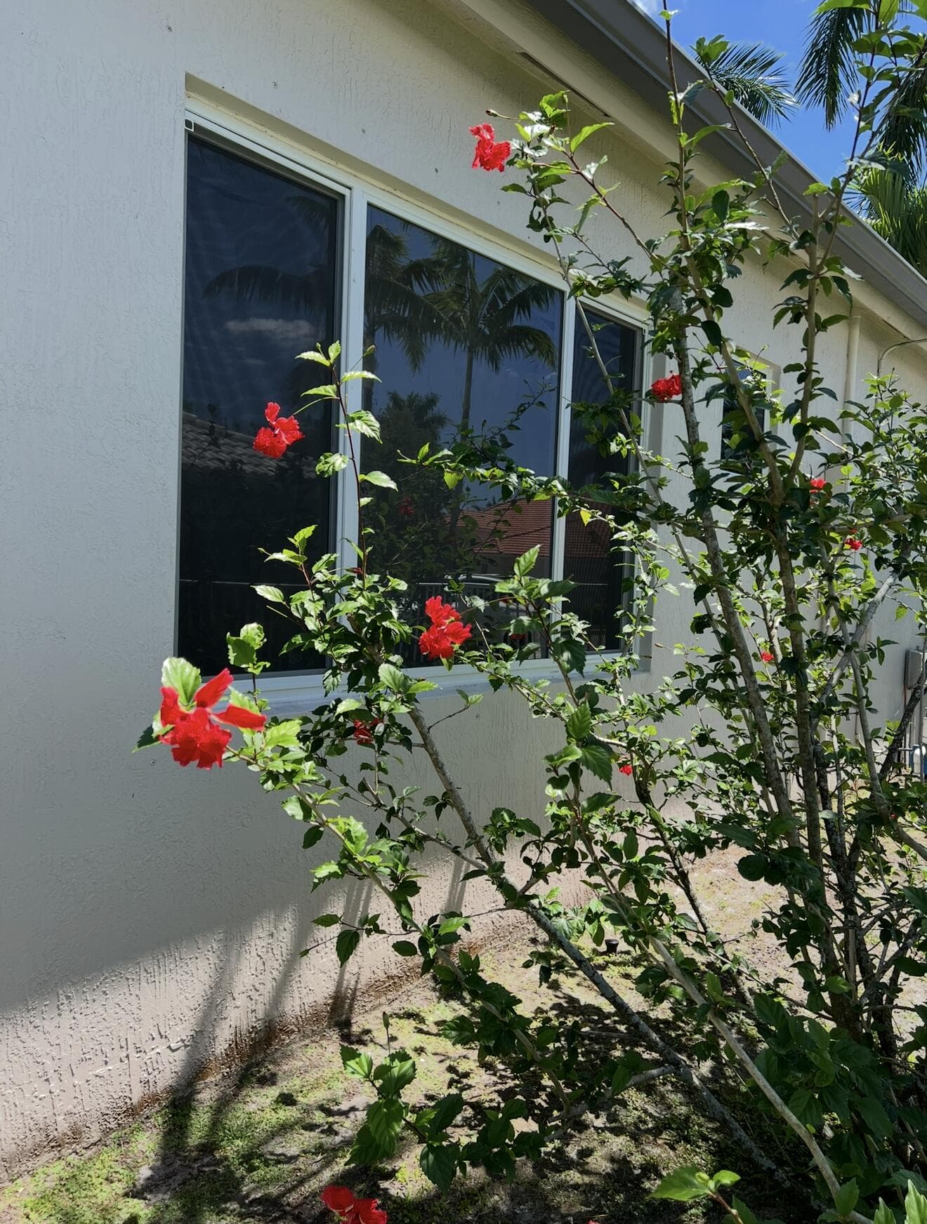 8263 N Lake Forest Drive, Davie, FL 33328 — photo 38 of 44