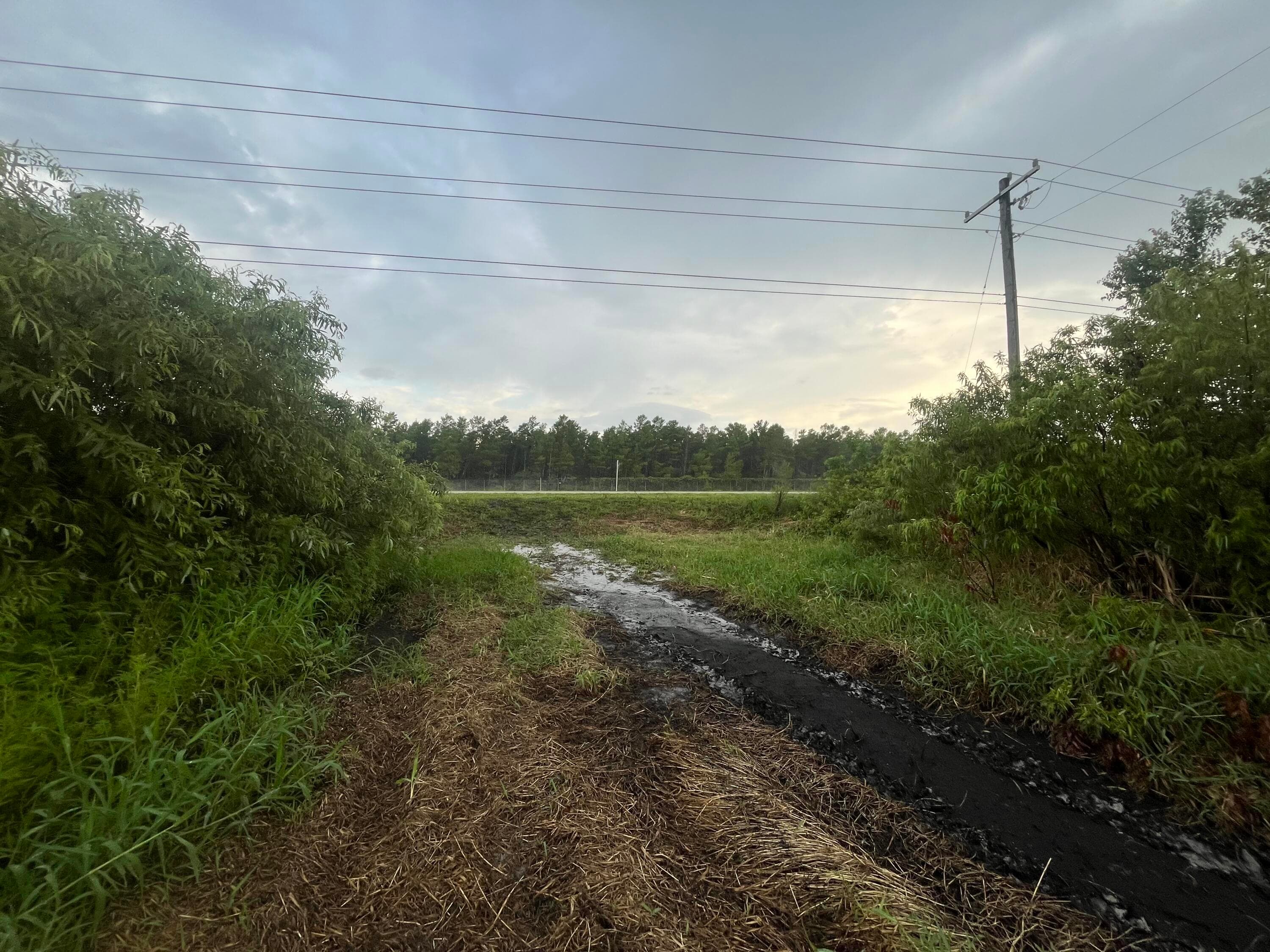 0 E State Rd 60, Okeechobee, FL 34972 — photo 5 of 8
